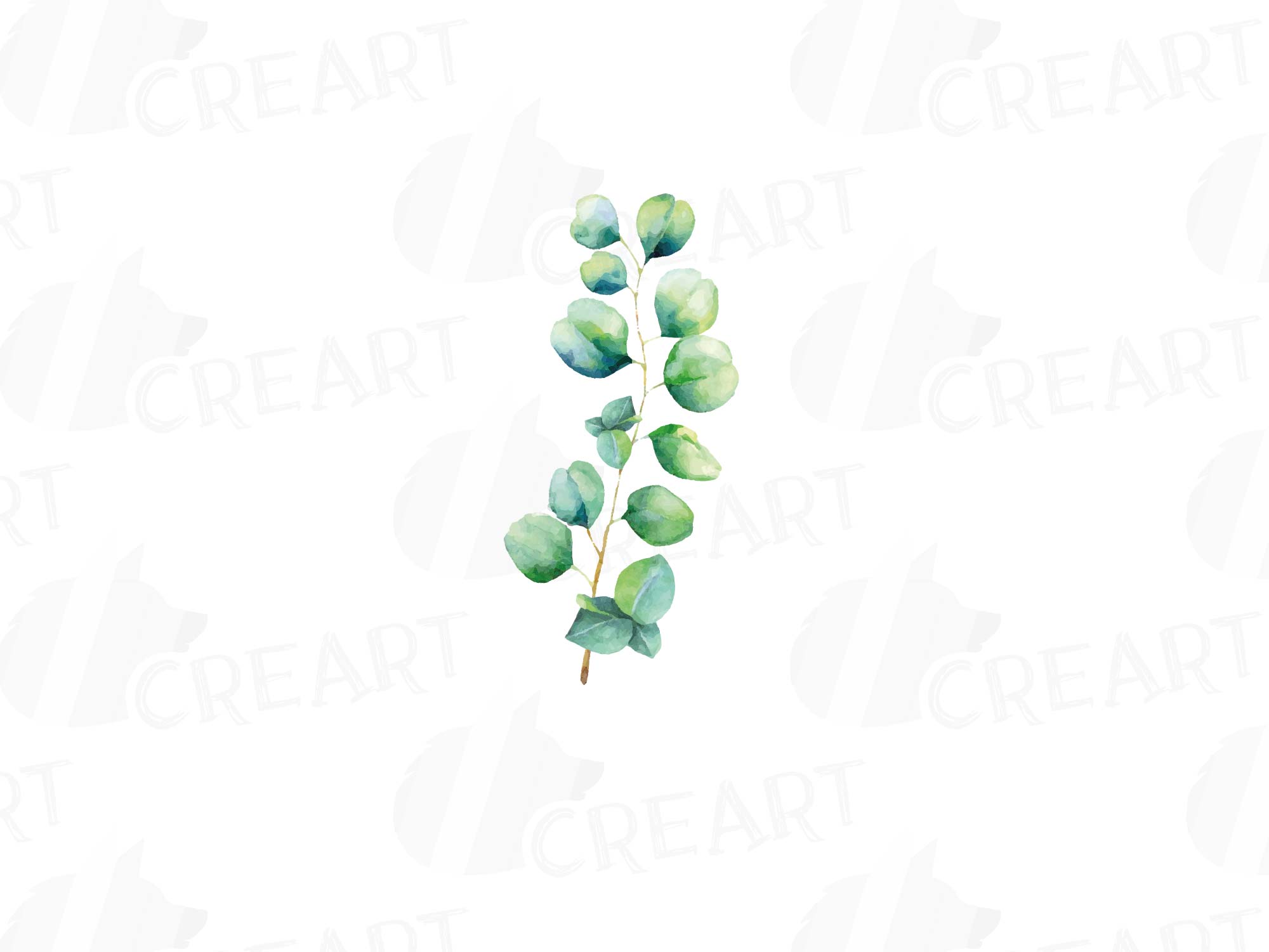 Eucalyptus leaves and branches watercolor clip art pack, Eucalyptus