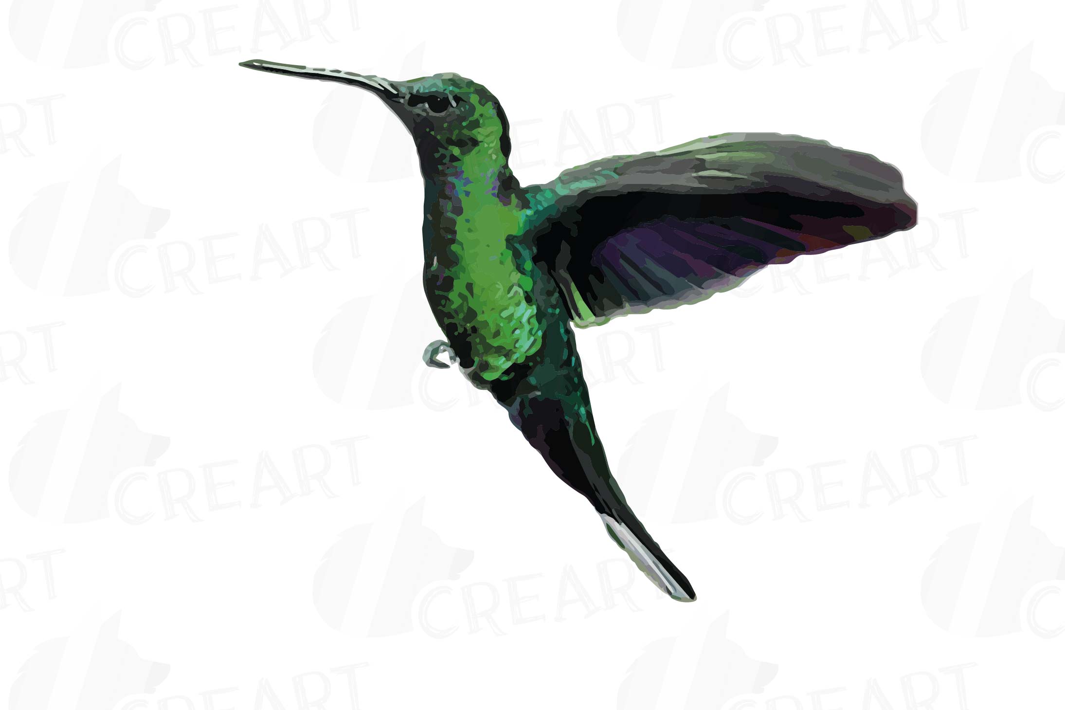 Watercolor hummingbirds clip art pack, tropical birds vector