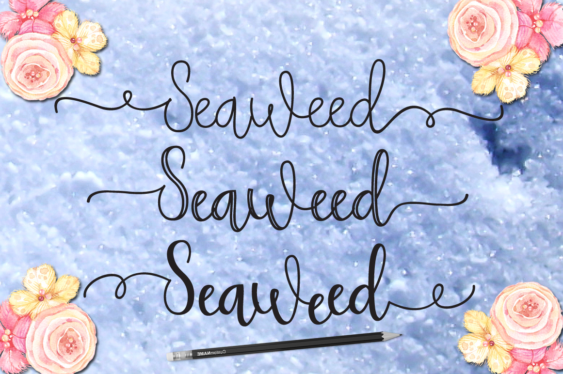 Seaweed 9522 Script Font Bundles
