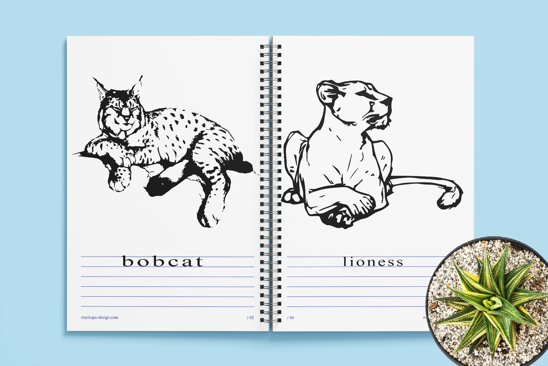Wild cat family. Vector illustration
