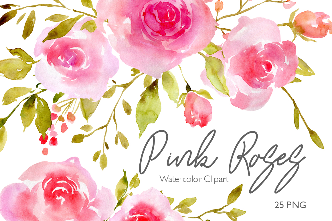 Pink blush Watercolor Flowers Roses PNG