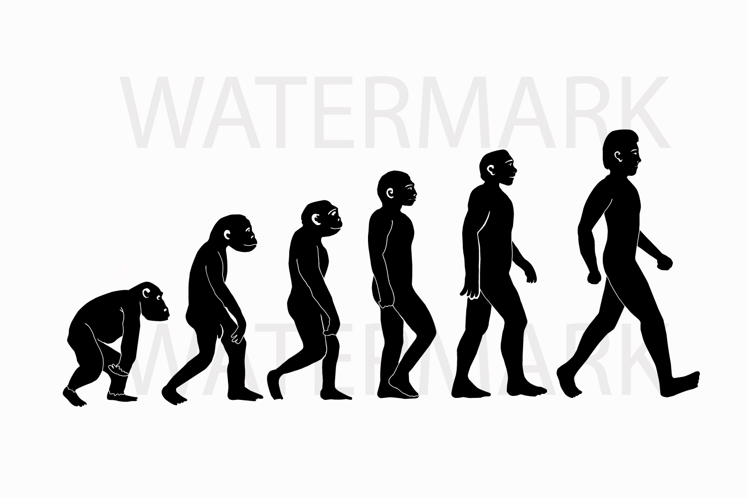 Human Evolution SVG/JPG Hand Drawing (95741) Illustrations Design