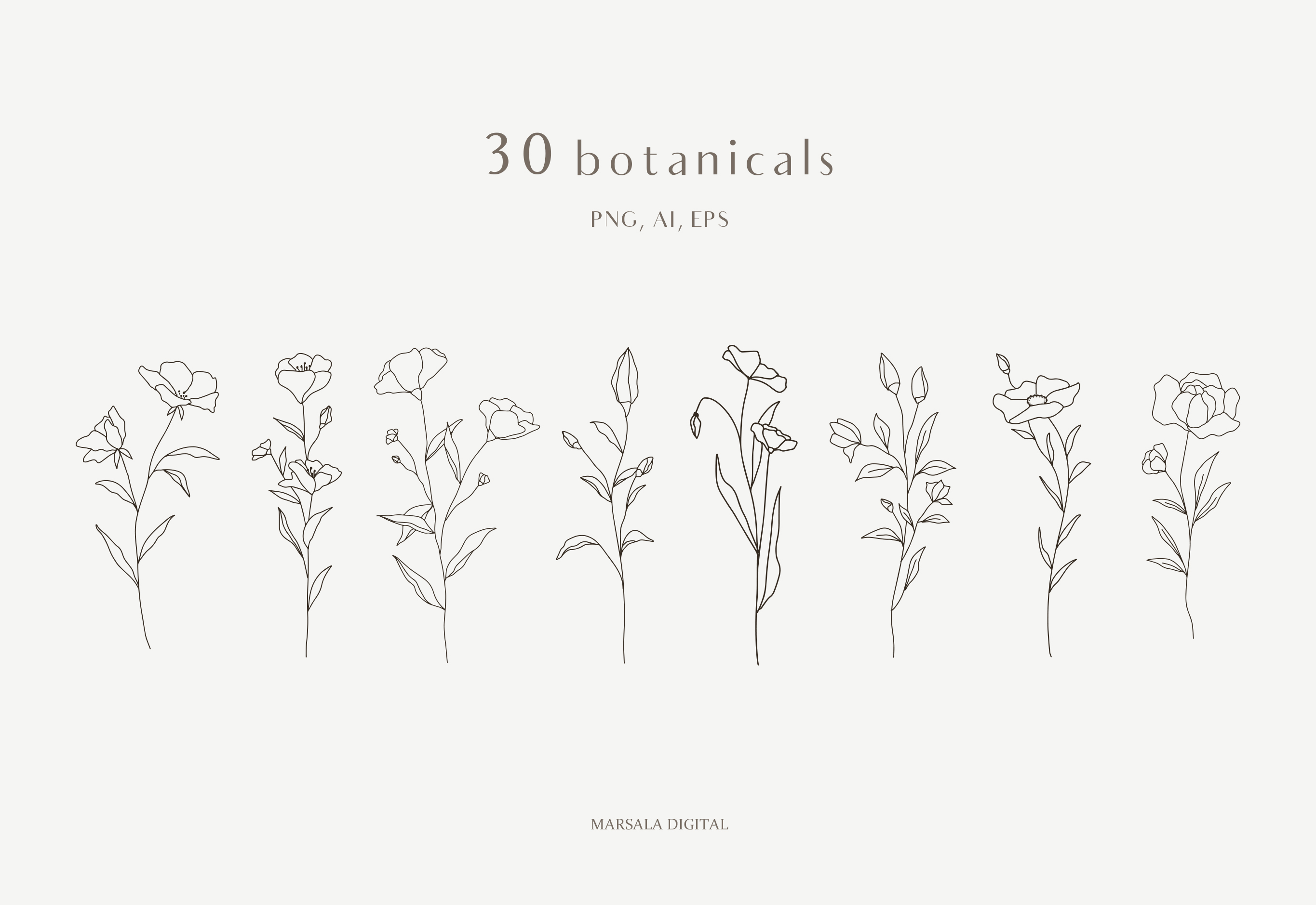 Botanical Line Art, Wildflowers Clipart, Leaves Clipart (353765