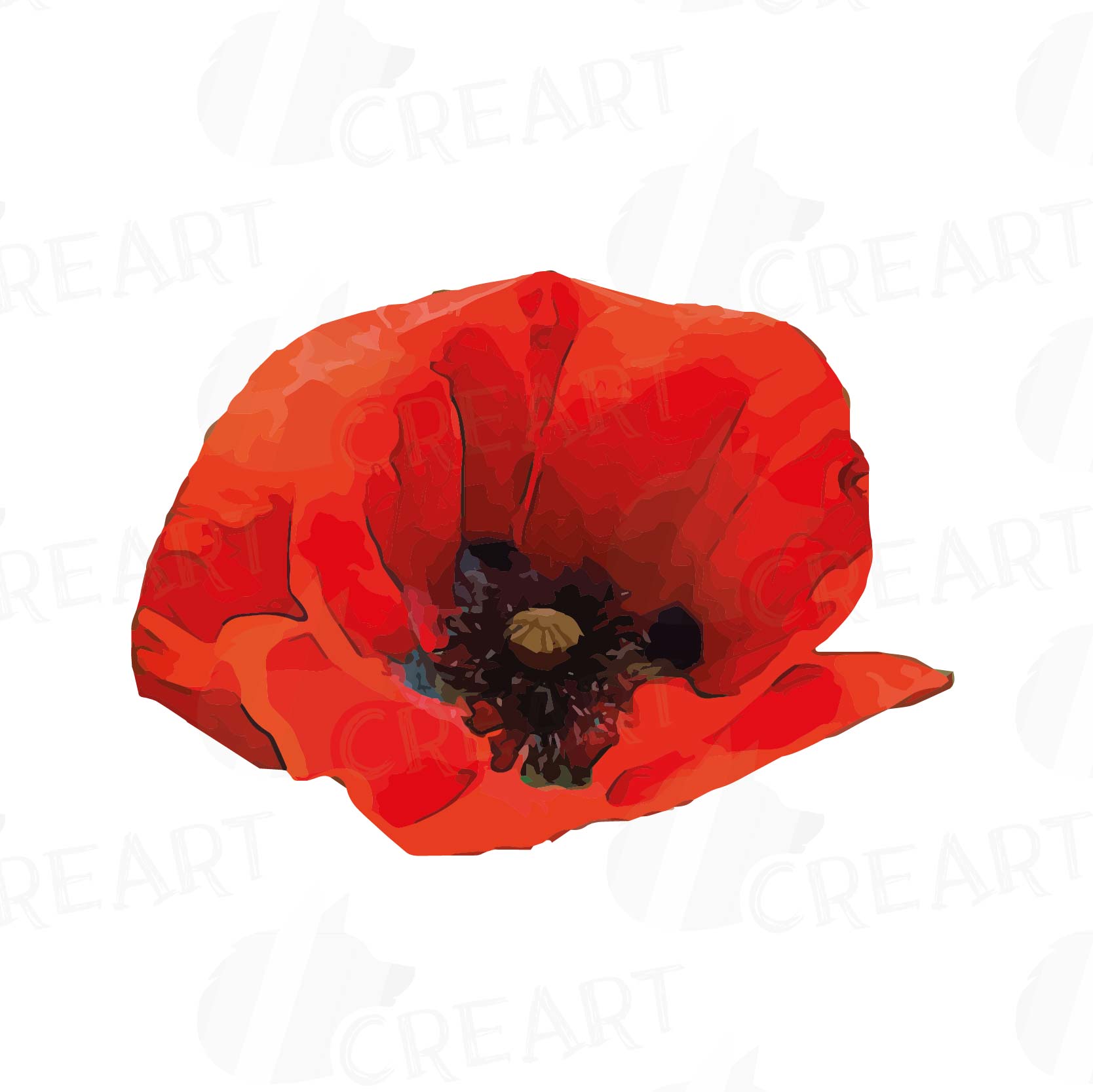 Watercolor Red Poppy flower and leaf clip art pack, Poppies clip art ...