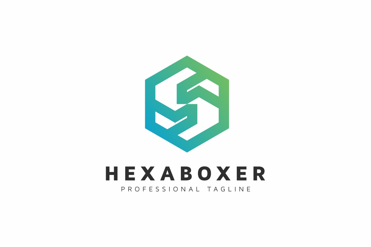 hexagon software company