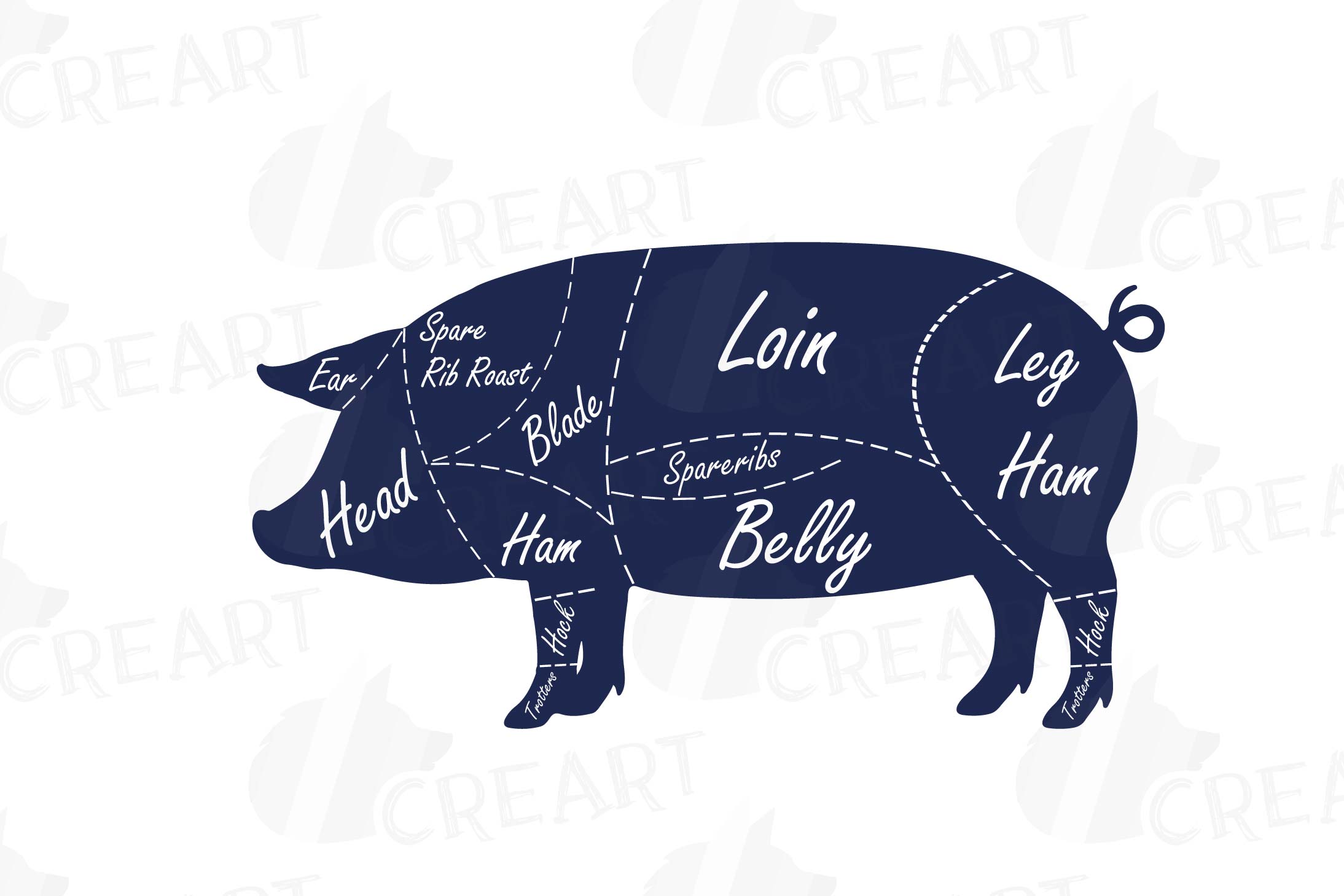 Butcher diagram clip art, digital pig chart, pork cuts diagr