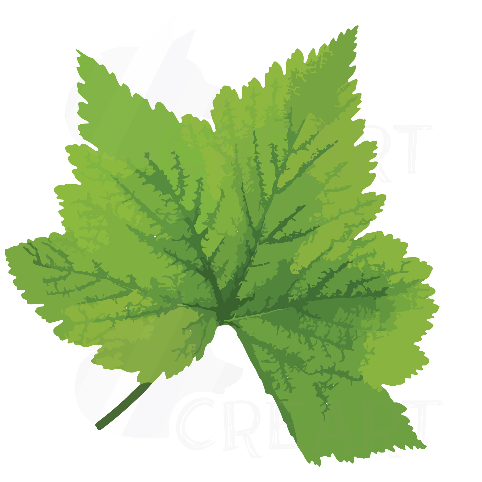 Download Watercolor leaf clip art pack. Eps, png, jpg, pdf, svg ...