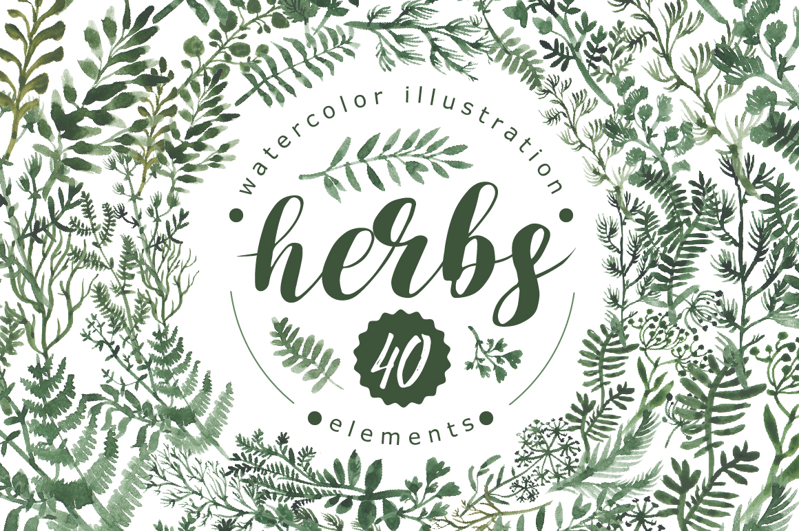 Watercolor herbs set (40+ elements)