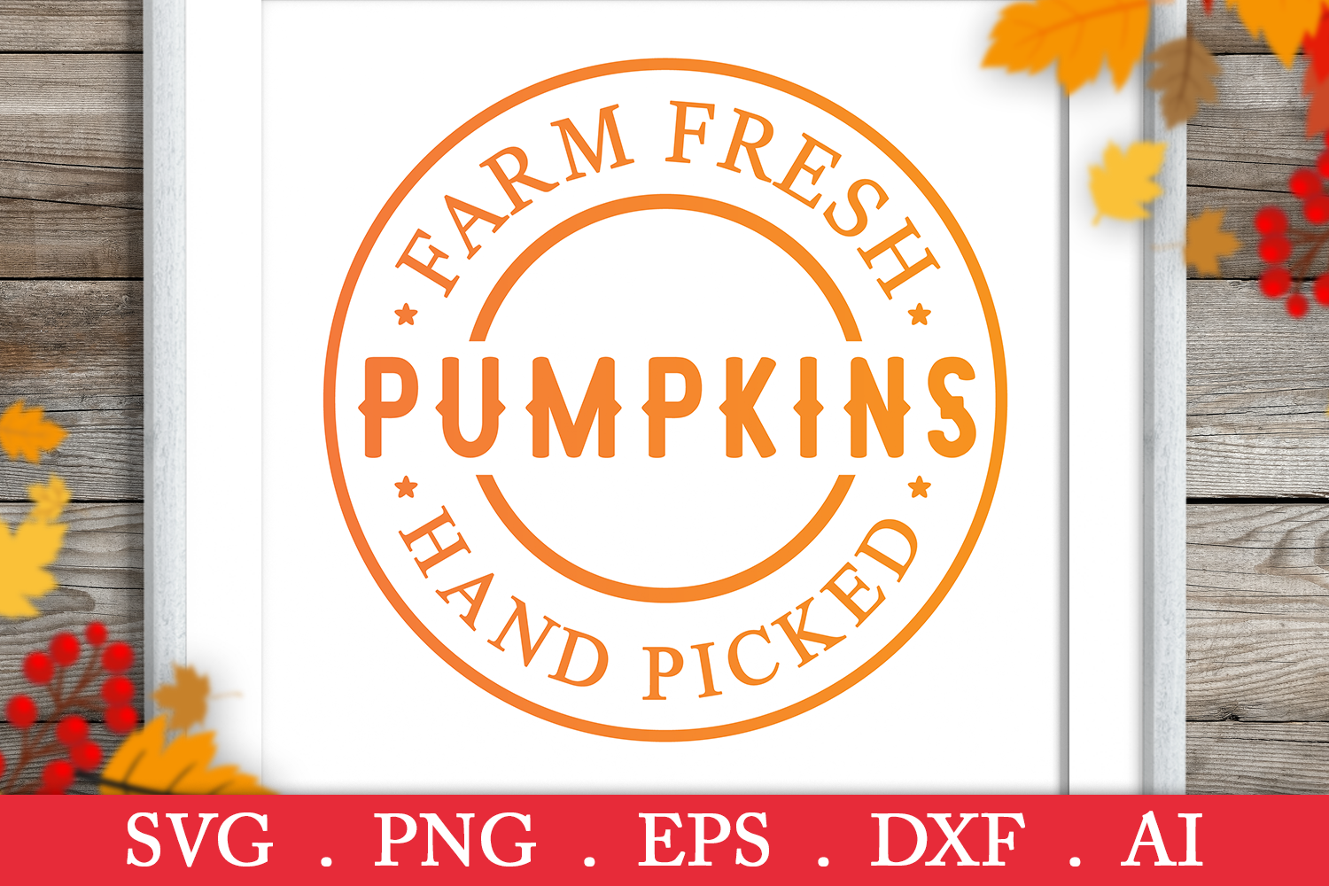 Download SALE! Farm fresh pumpkins svg, pumpkin patch svg, fall ...