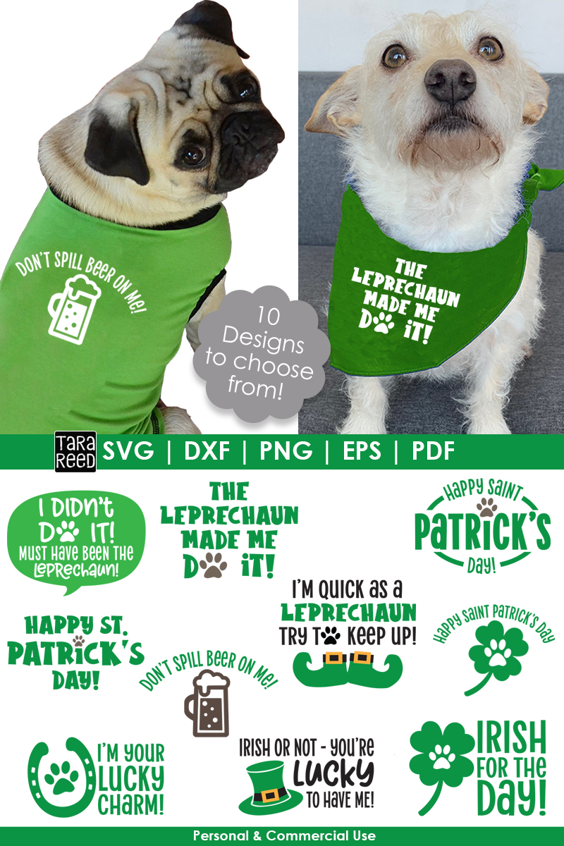 st patricks day dog leashes