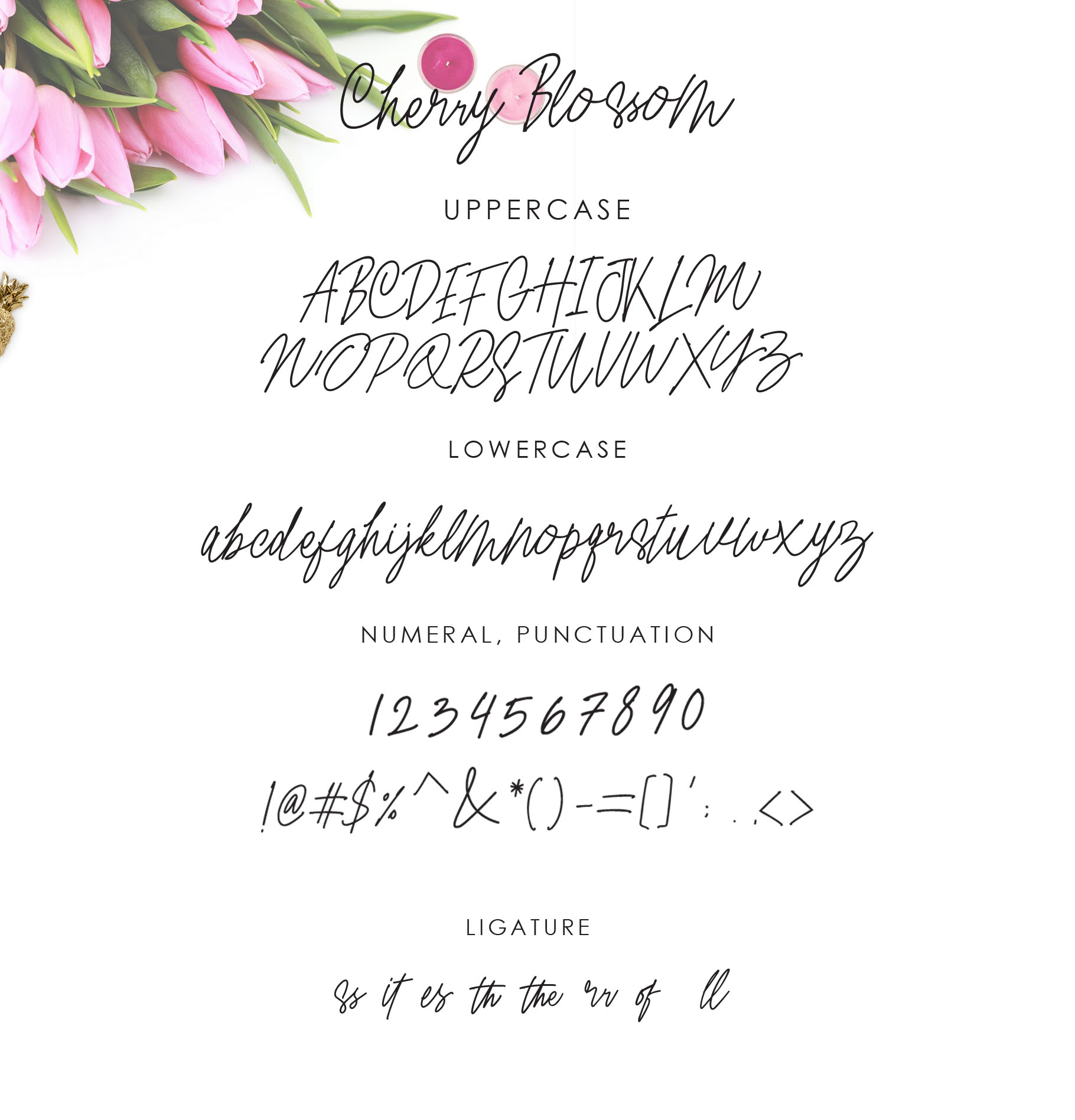 Cherry Blossom (63457) | Script | Font Bundles