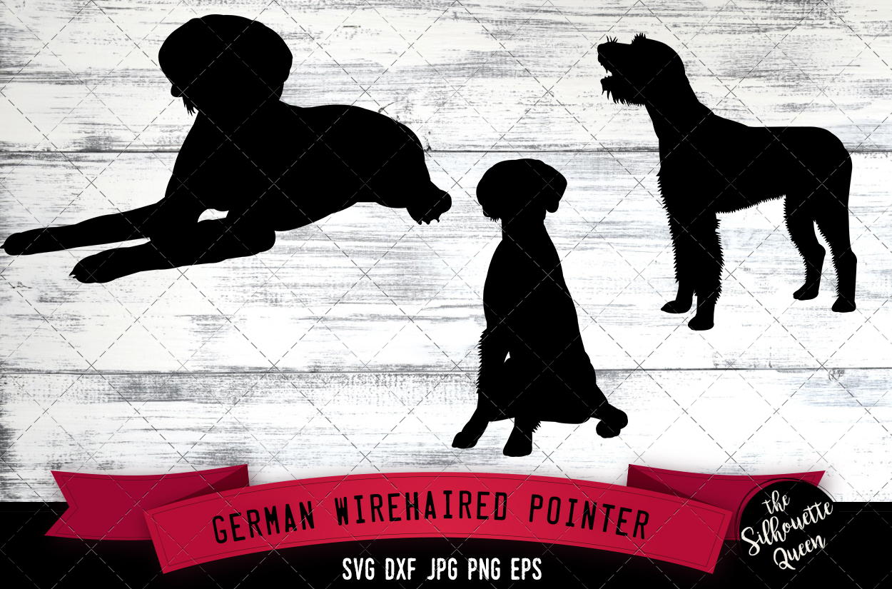 German Wirehaired Pointer SVG Files, Dog Svg (268569) | Illustrations