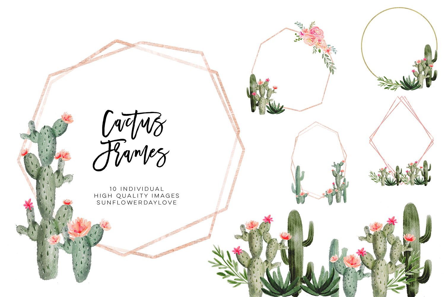 Cactus Borders And Frames