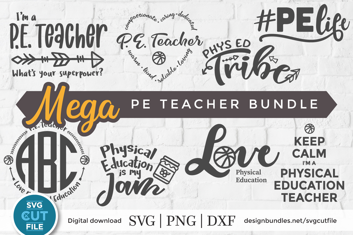 Download PE Teacher svg bundle - physical education teacher svg files