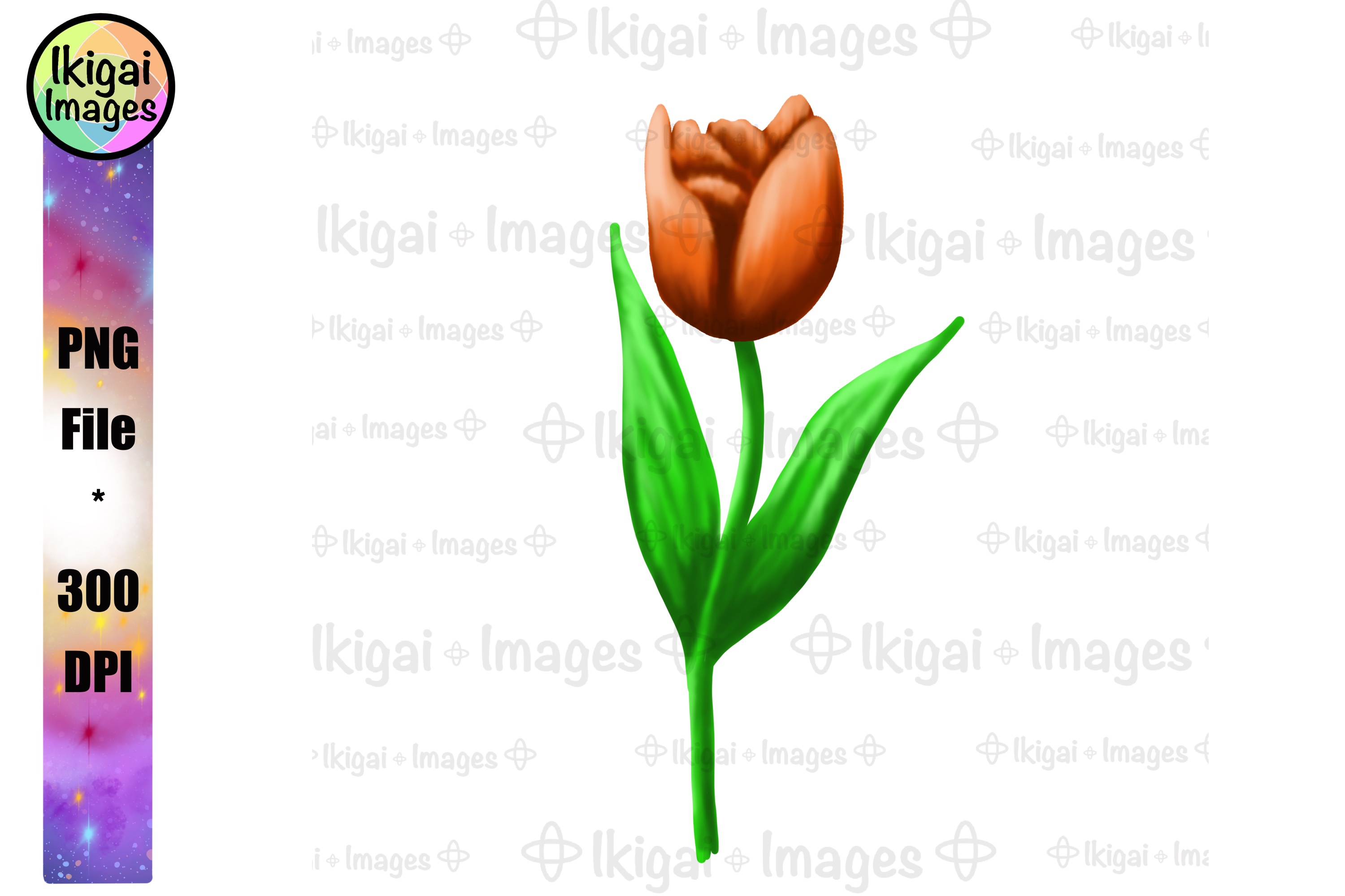 Tulips PNG Bundle Floral Sublimation Designs Flowers ...