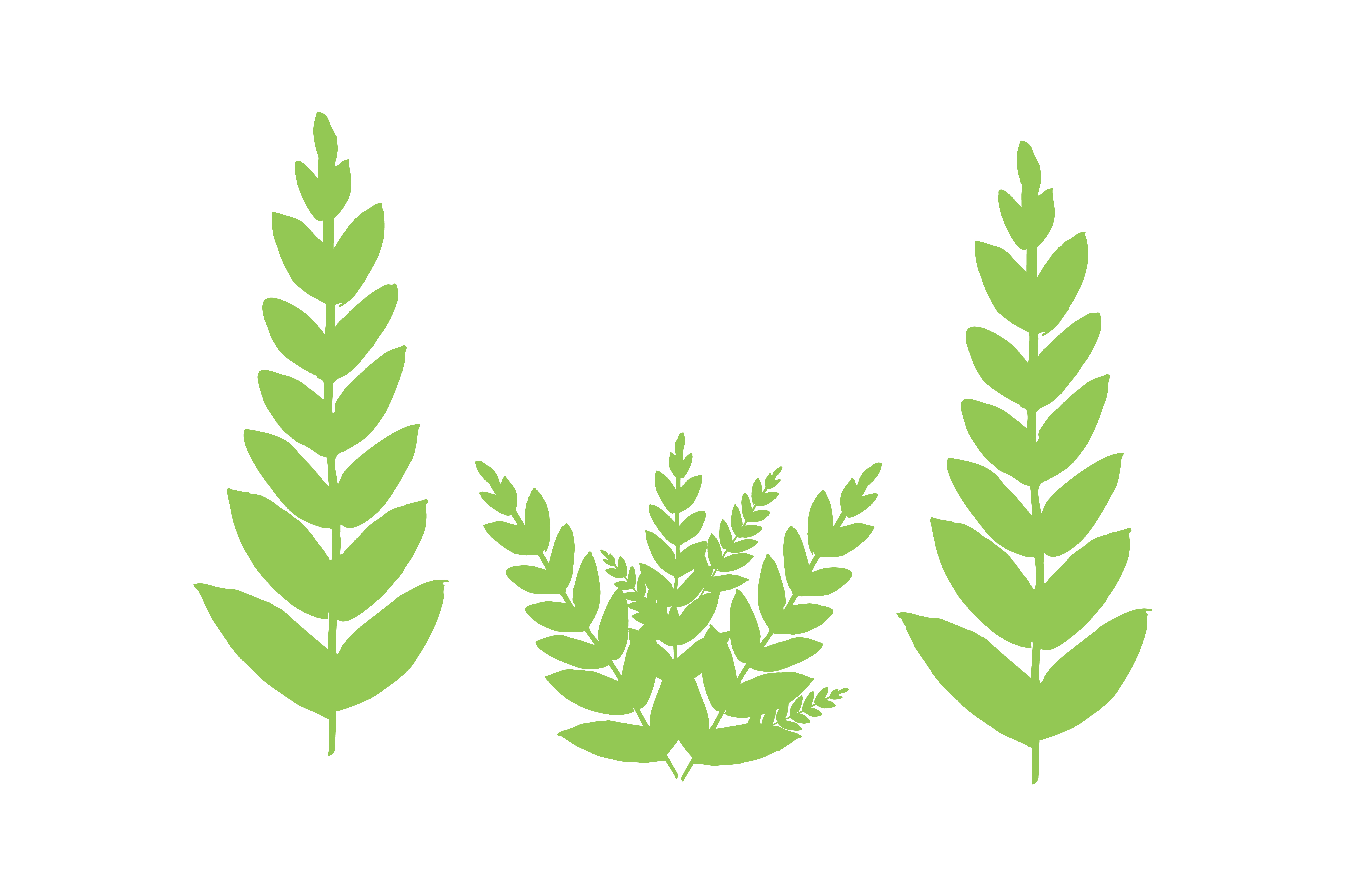 Tree SVG Files Cricut