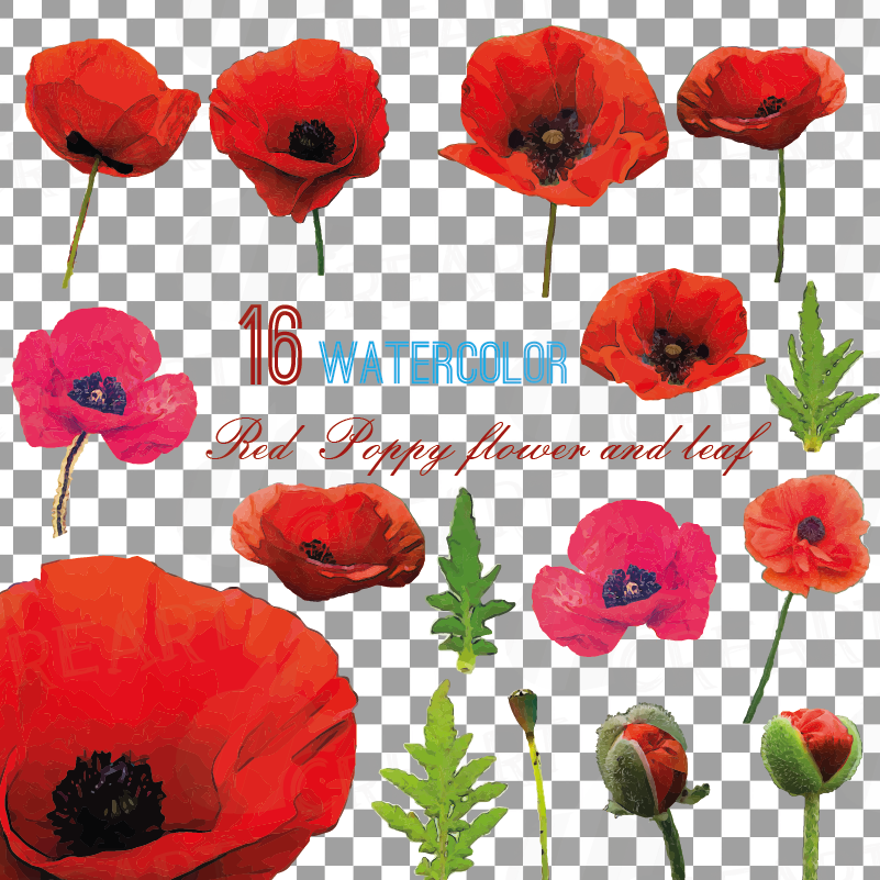 Download Watercolor Red Poppy flower and leaf clip art pack ...