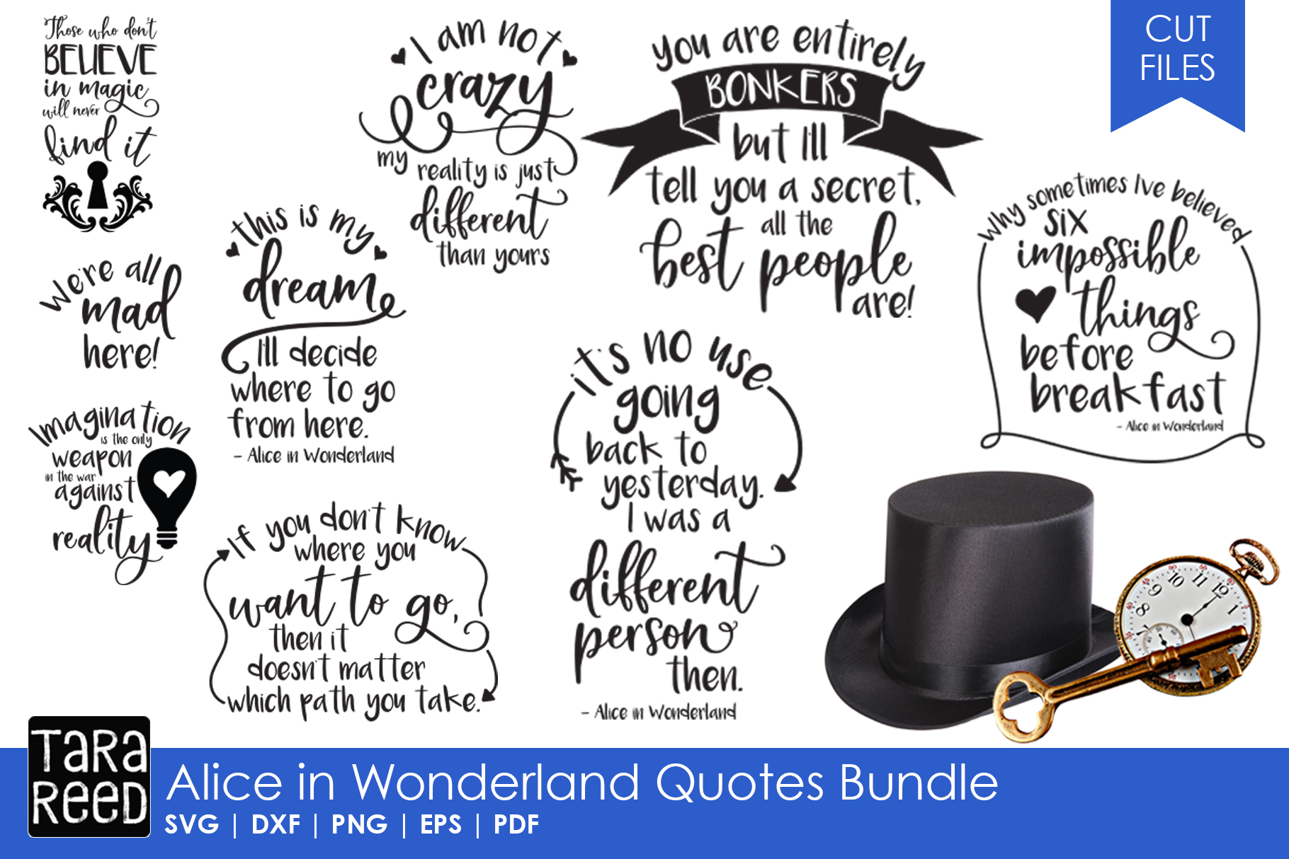 Download Alice in Wonderland Quotes Bundle (80883) | Cut Files ...