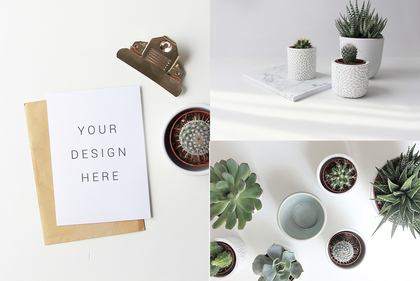 20 green minimal lifestyle stock photos &amp; mockups