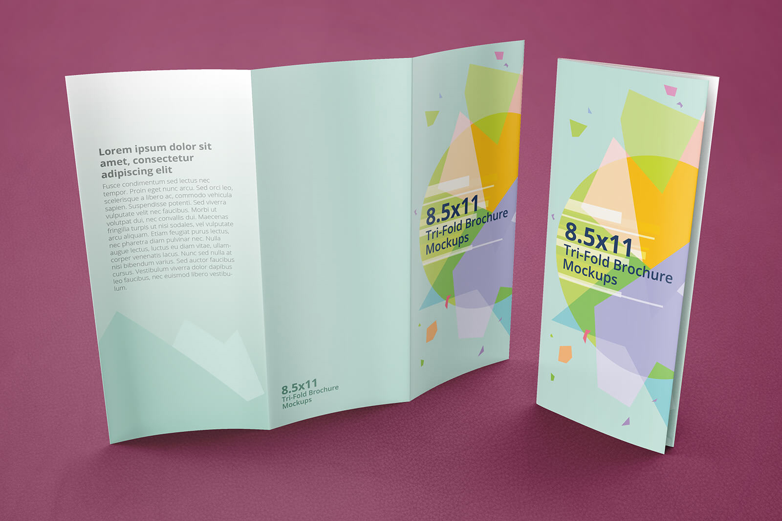 Trifold Brochure Mockups 8.5×11 size (108599) Mock Ups