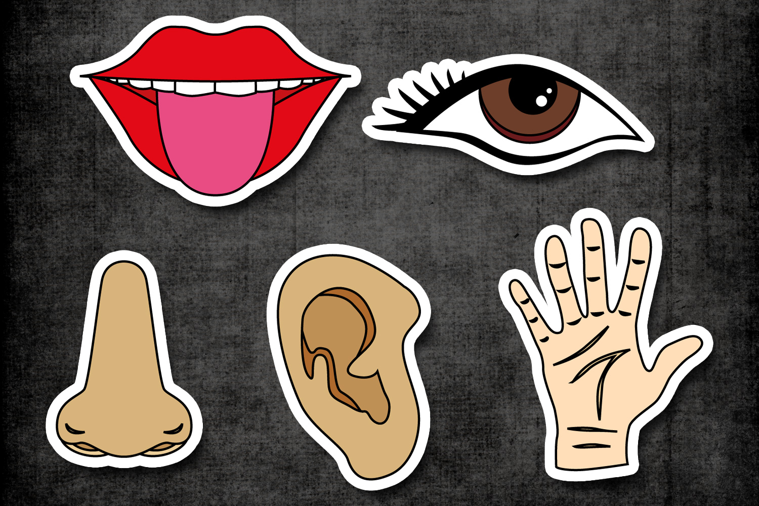 Five senses clipart / tongue mouth, nos | Design Bundles