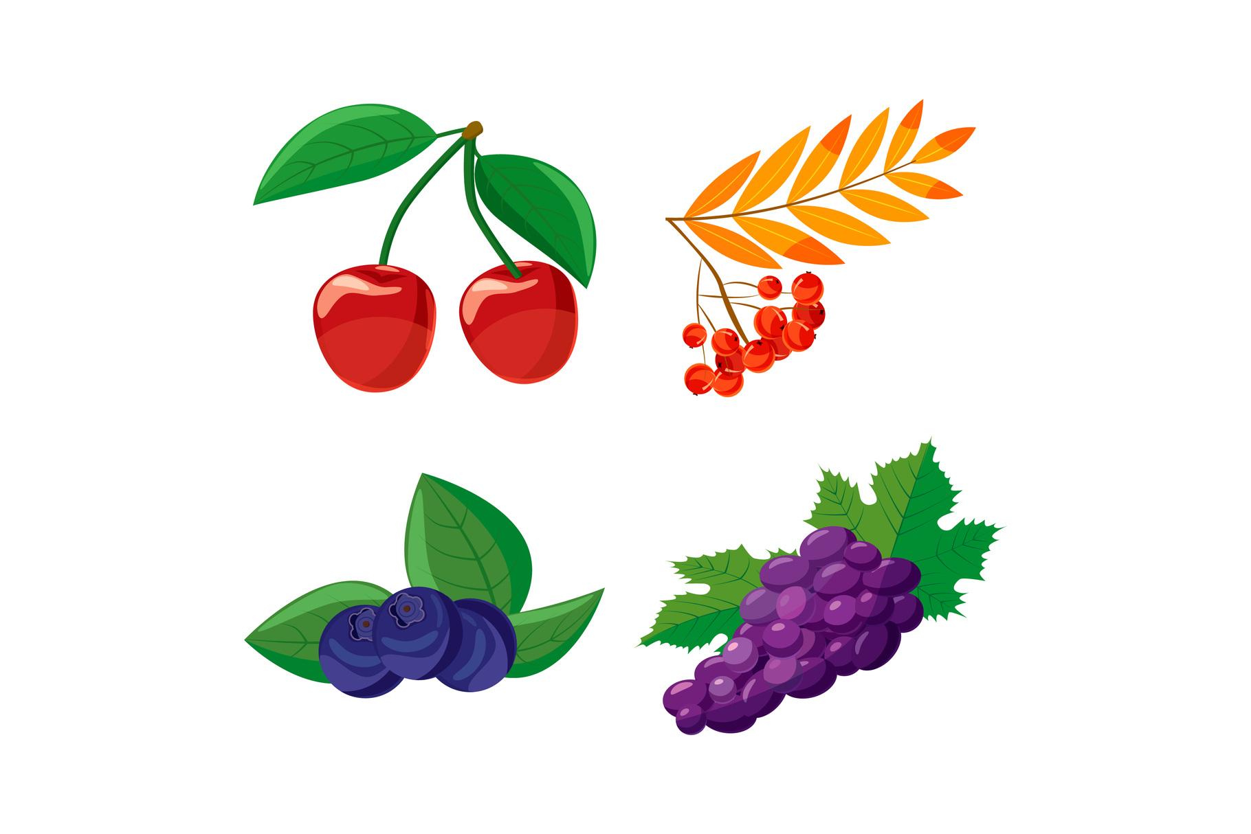 Berries icon set, cartoon style