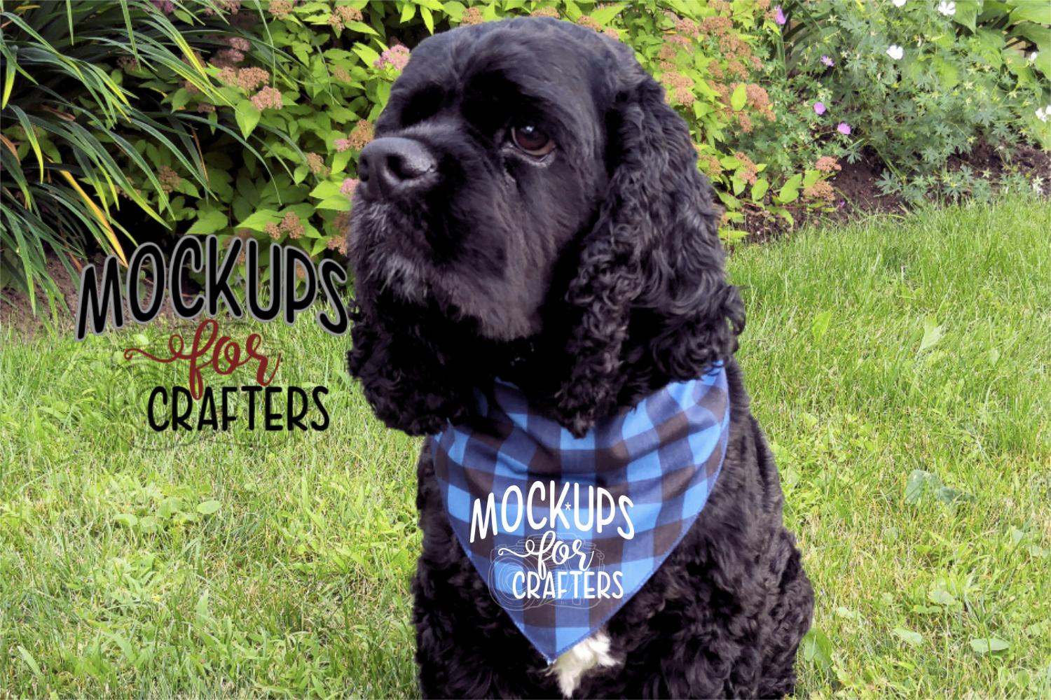 MOCK-UP - Pet Bandana, Dog Bandana, Buffalo Plaid