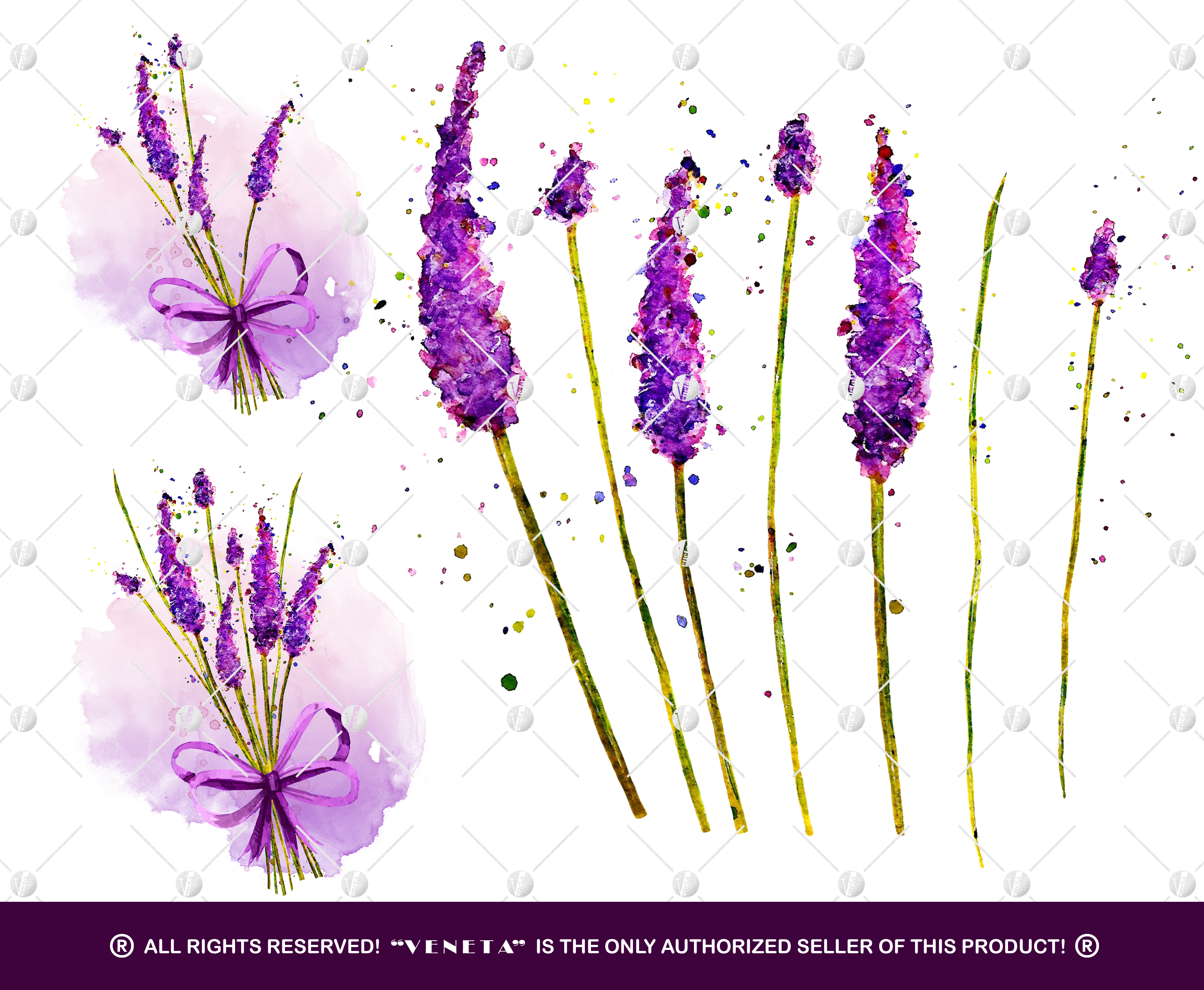 Lavender Watercolor ClipArt Collection Printable Purple Flowers Purple