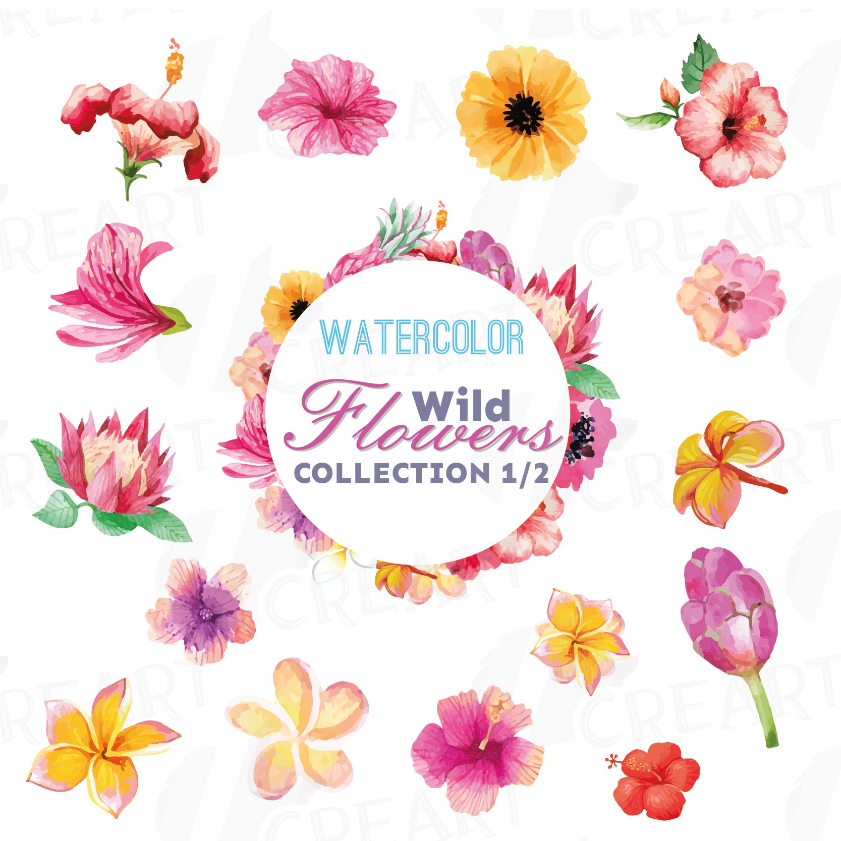 Download Watercolor wild flowers clip art pack, exotic watercolor ...