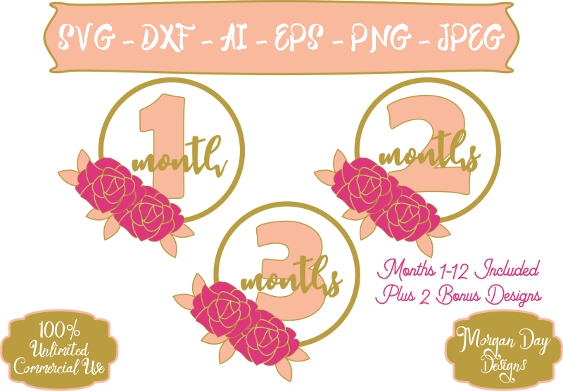 Free Free 181 Baby Milestone Cards Svg SVG PNG EPS DXF File