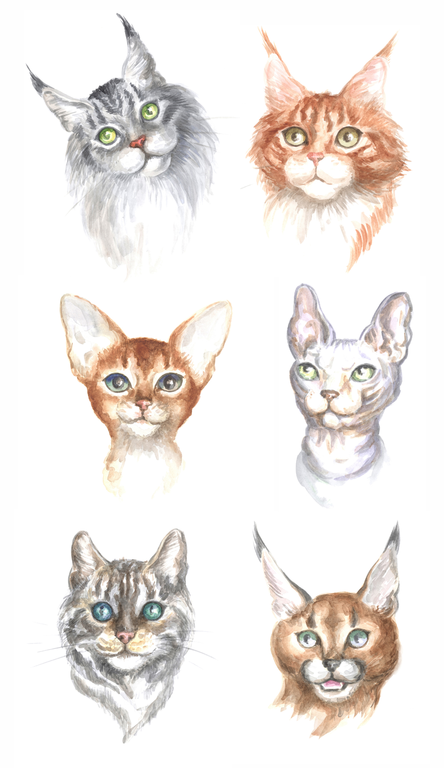 Download Cats. Watercolor painting.