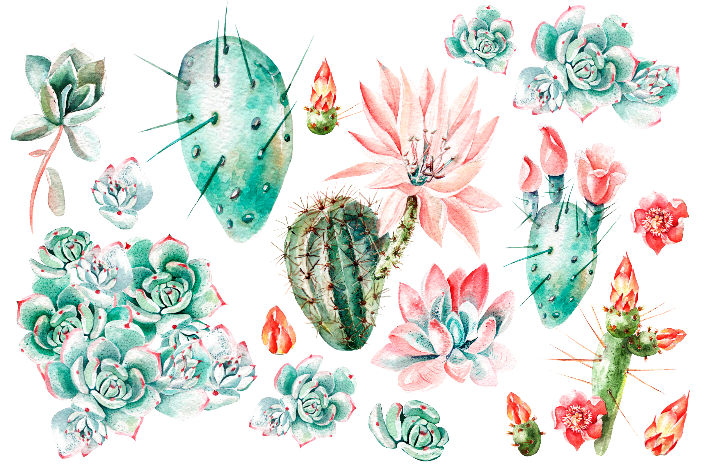 Watercolor Succulents And Cactuses