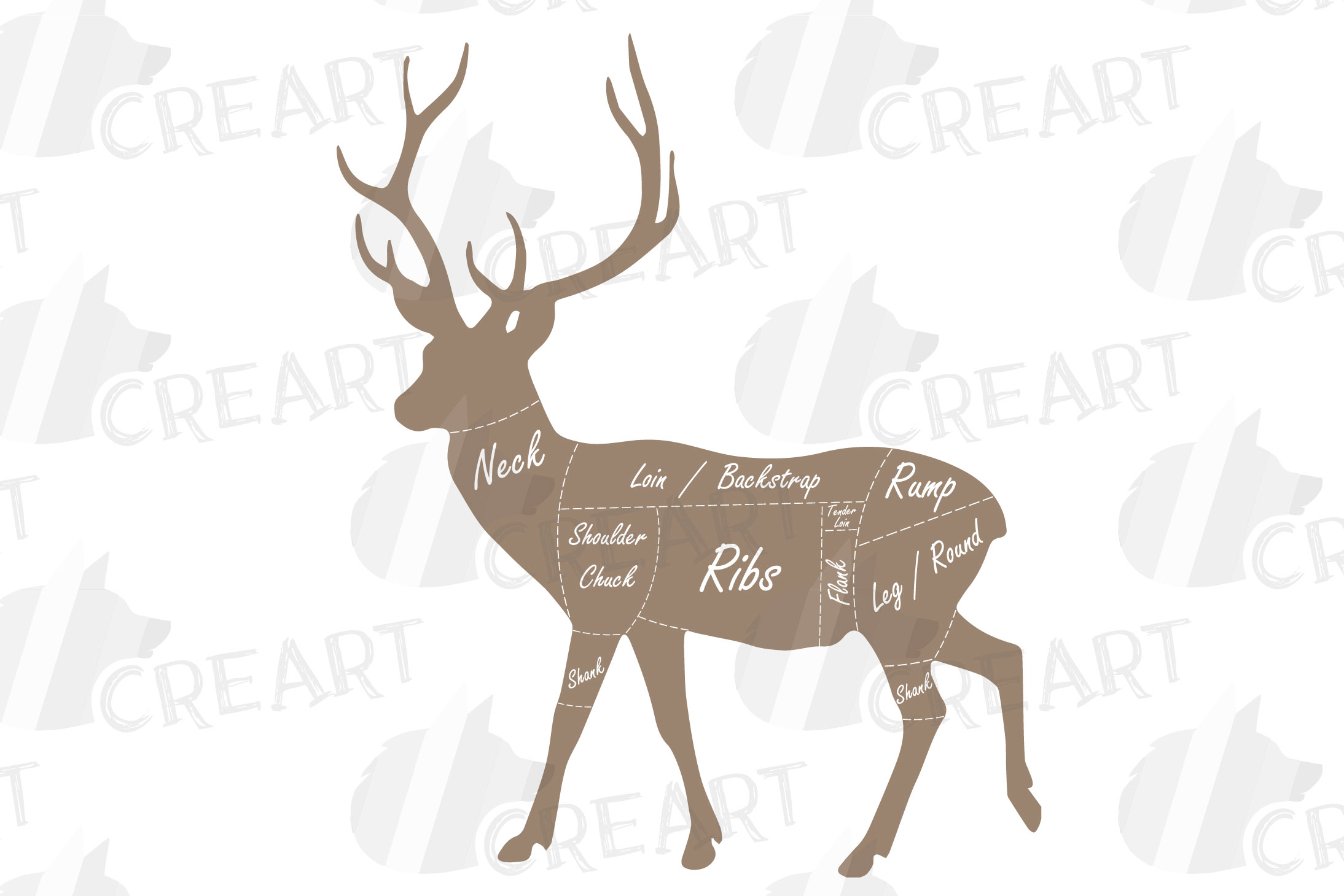 Butcher chart cuts of venison. Printable deer meat cut chart