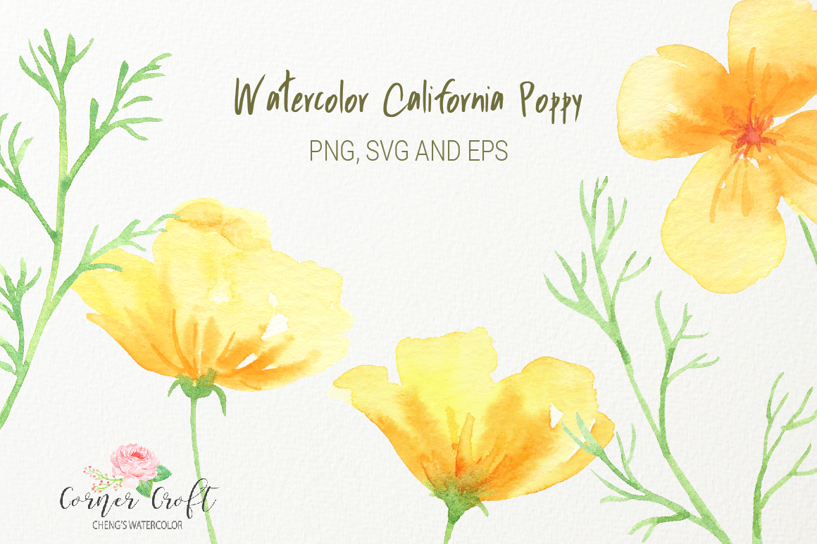 Watercolor California poppy clipart, png, silhouette, vector eps and svg ex...