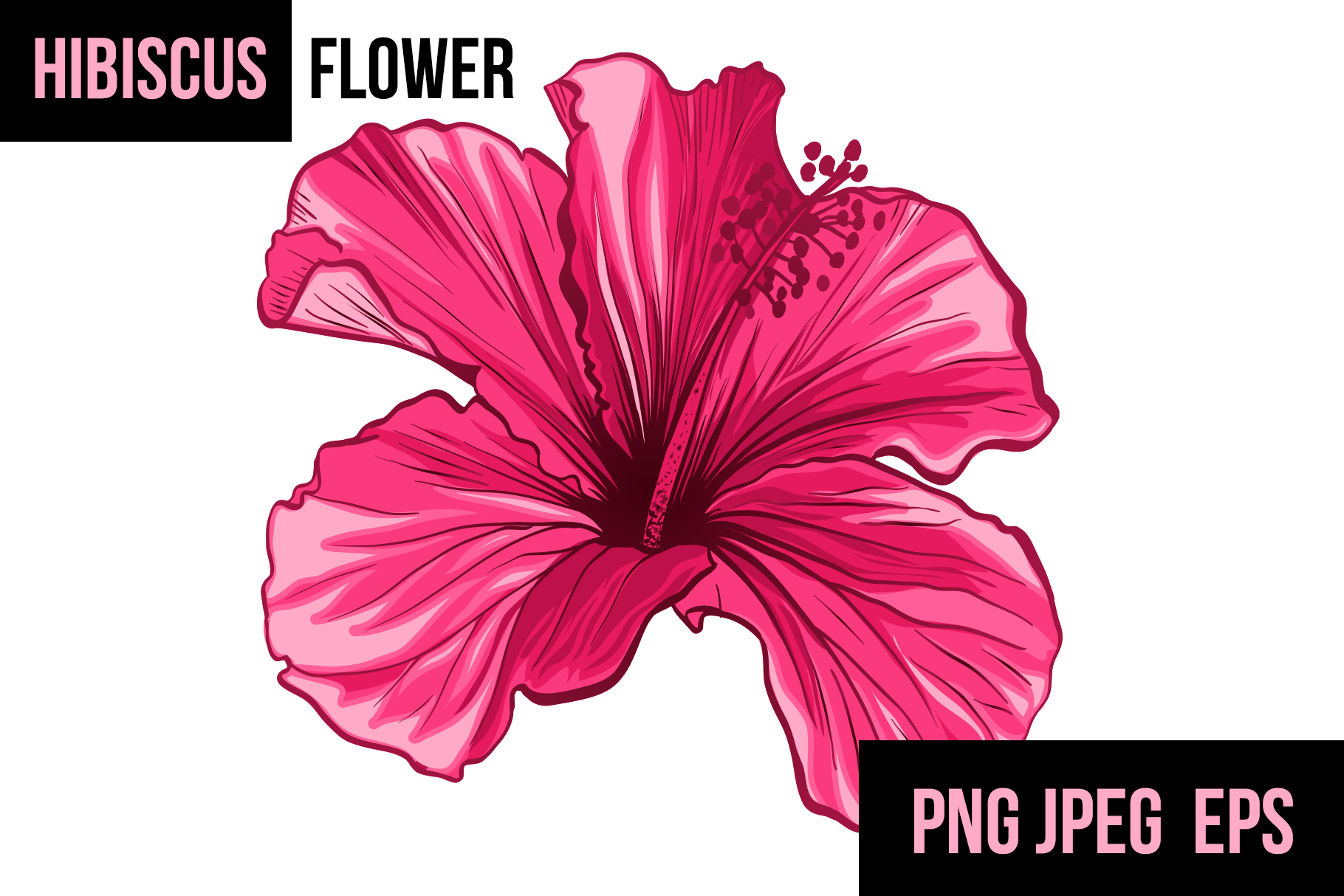 Download Hibiscus Flower Sublimation Design and SVG Cut File