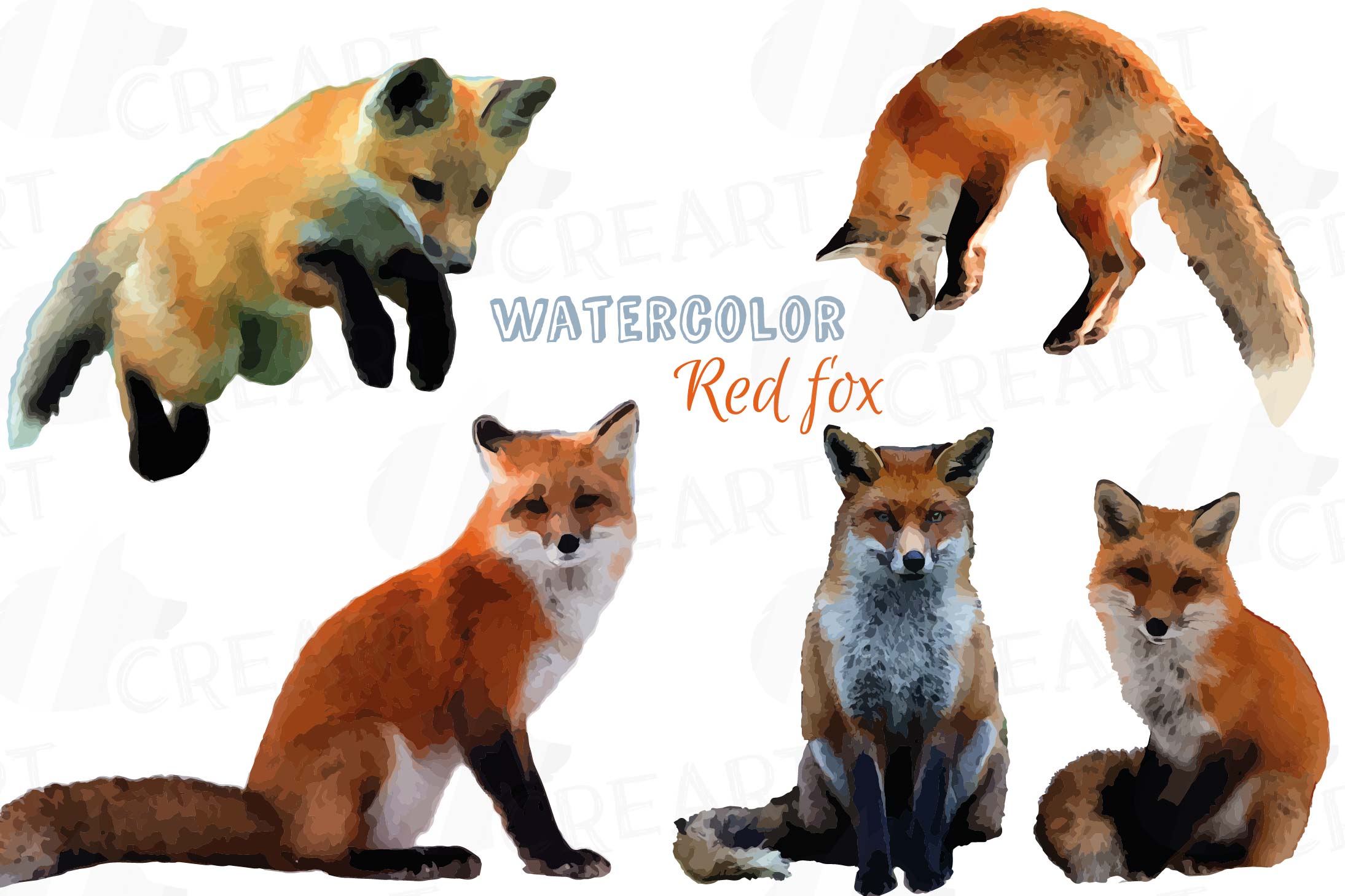 Red Fox Watercolor clip art woodland watercolor fox png 