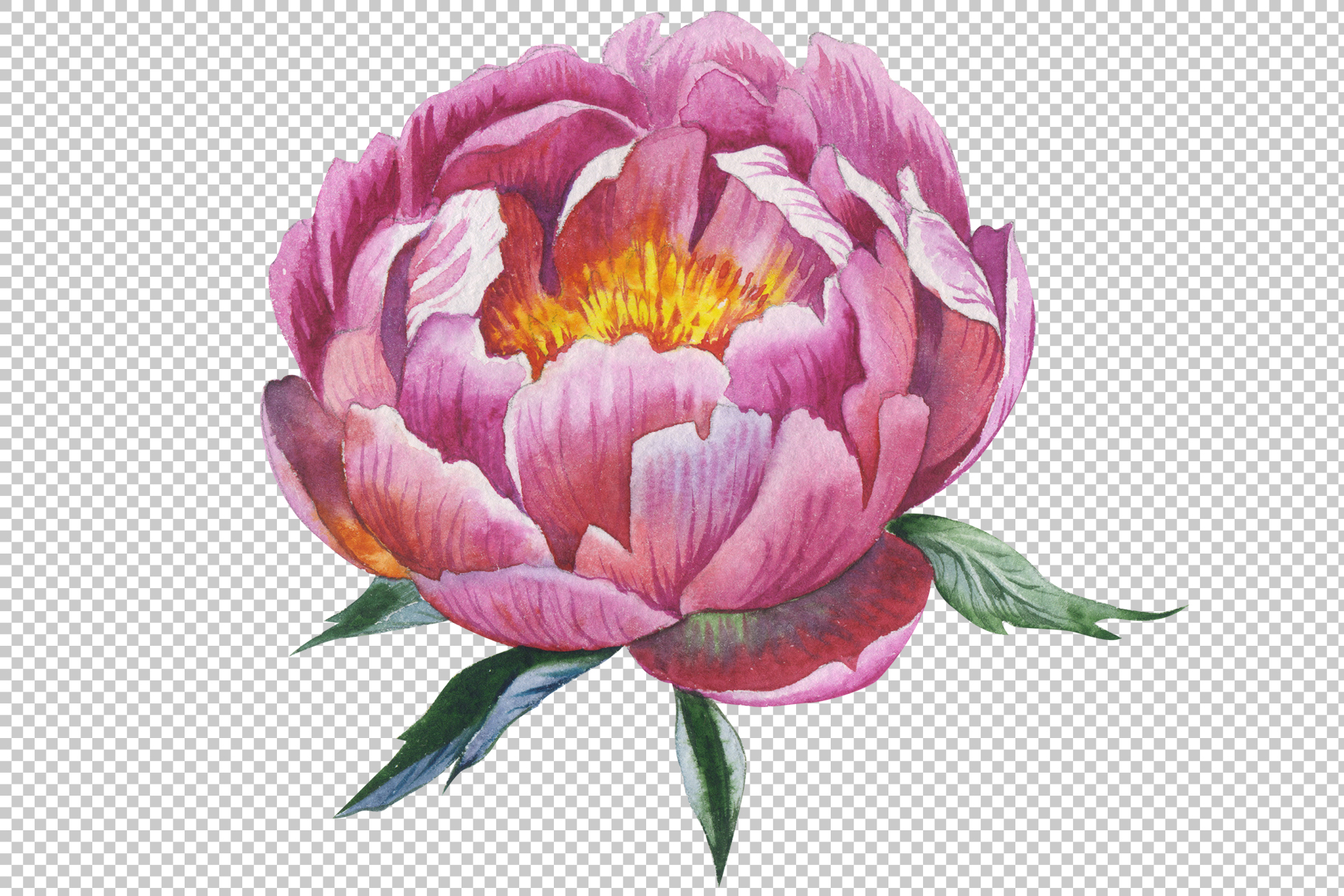 Red peony watercolor flower PNG (97885) | Illustrations | Design Bundles