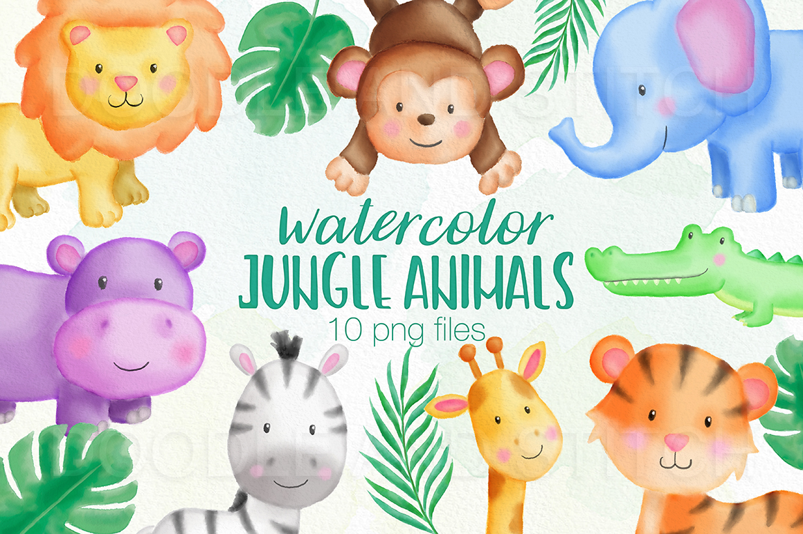 Jungle Animal Watercolor Illustrations