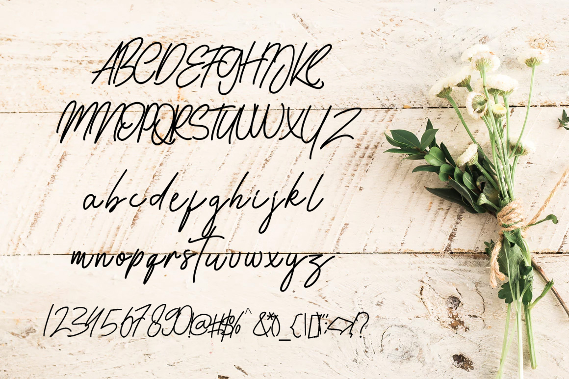 Kalisouth (355480) | Script | Font Bundles