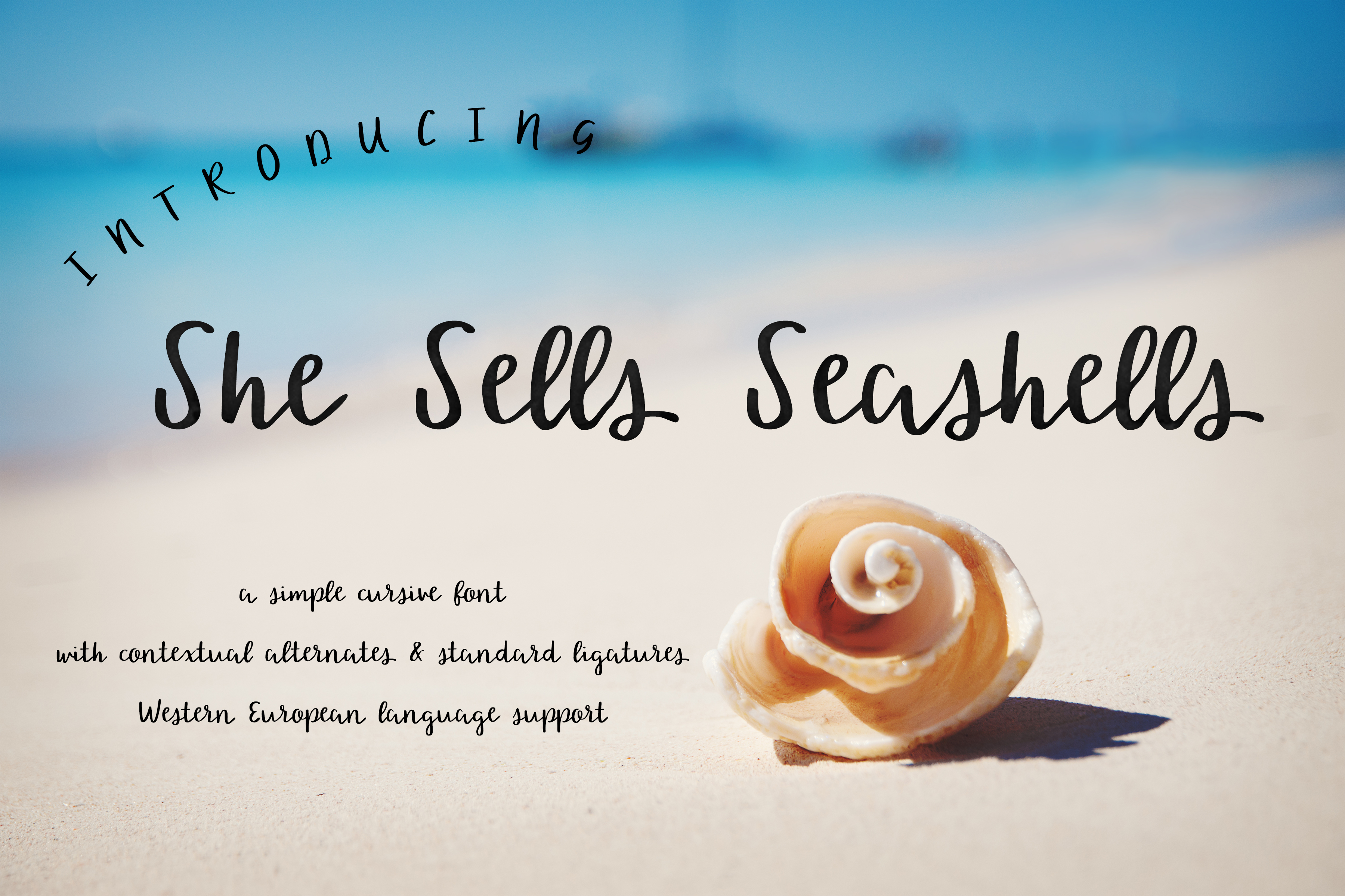 She sells seashells rap