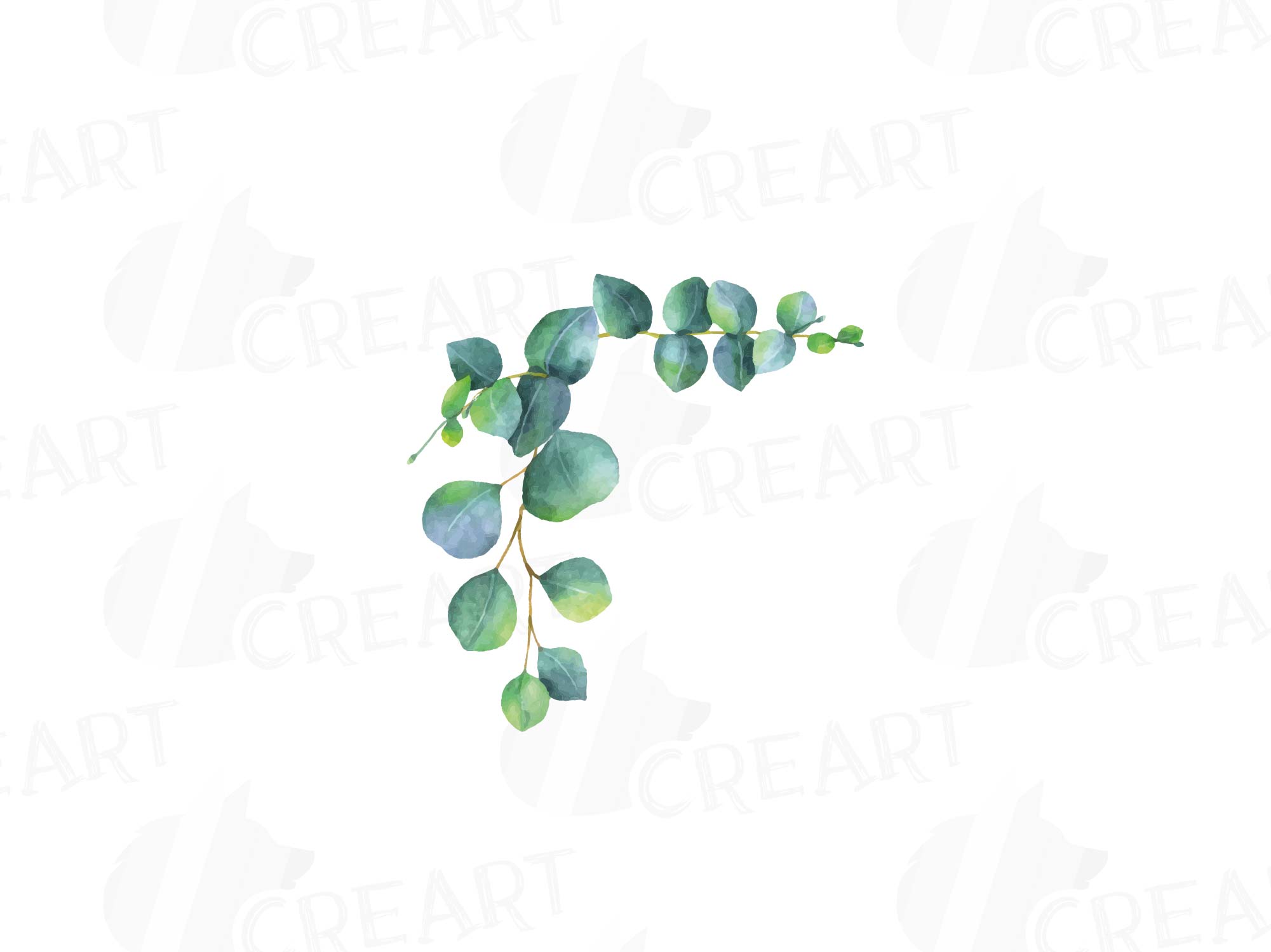 Eucalyptus leaves and branches watercolor clip art pack, Eucalyptus