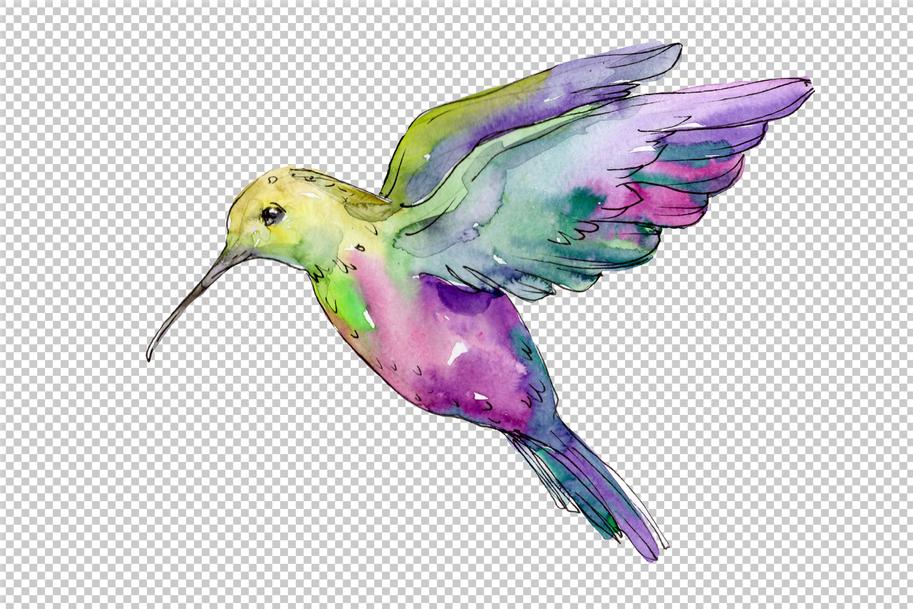 Download Nature world bird hummingbird watercolor png (306408 ...