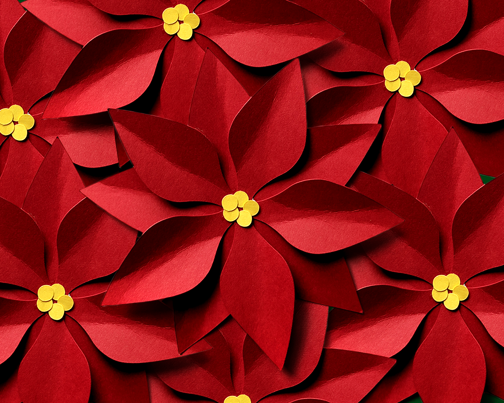 Download Christmas Poinsettia SVG File Cutting Template (79857 ...