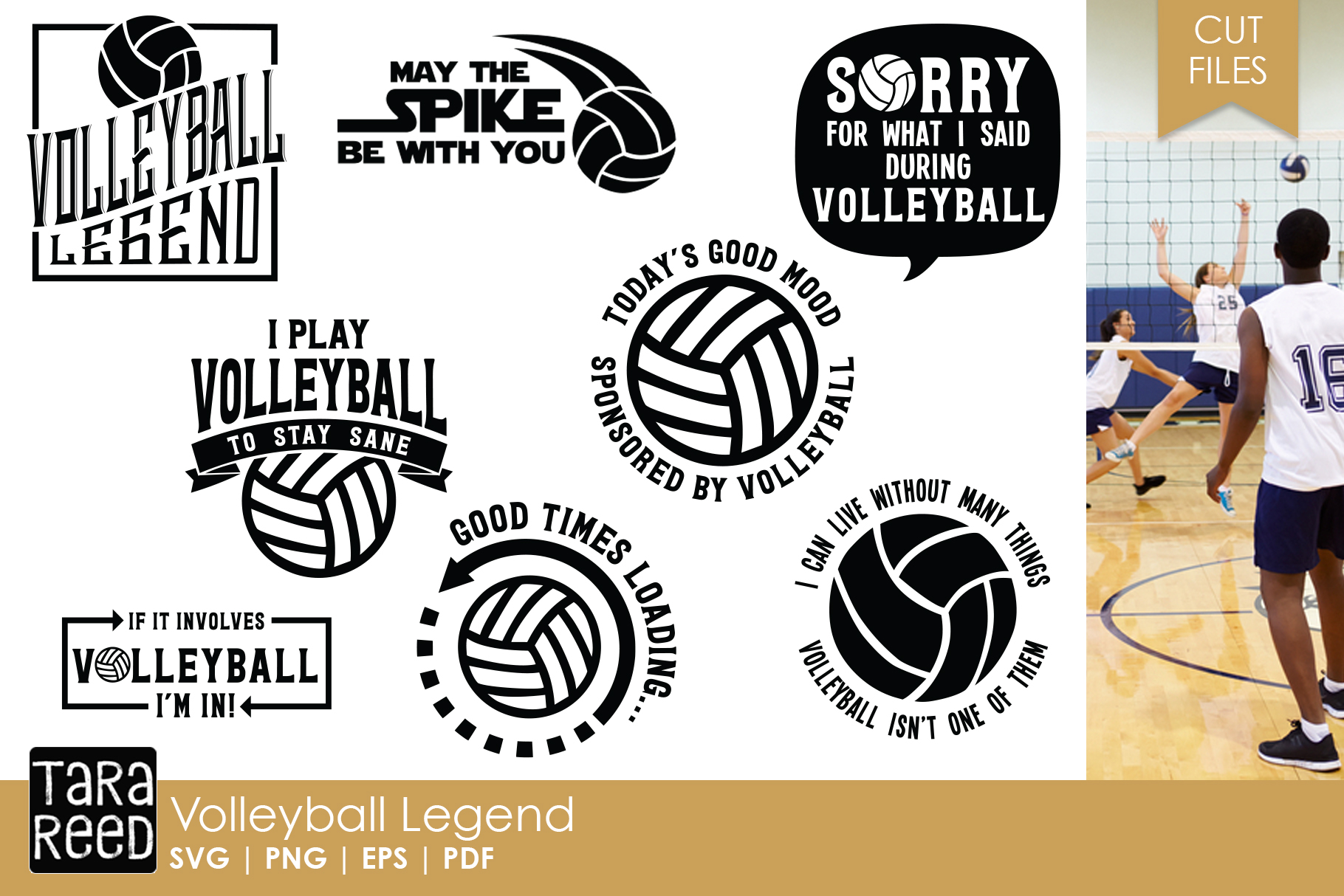 Download Volleyball Legend - Volleyball SVG and Cut Files for ...