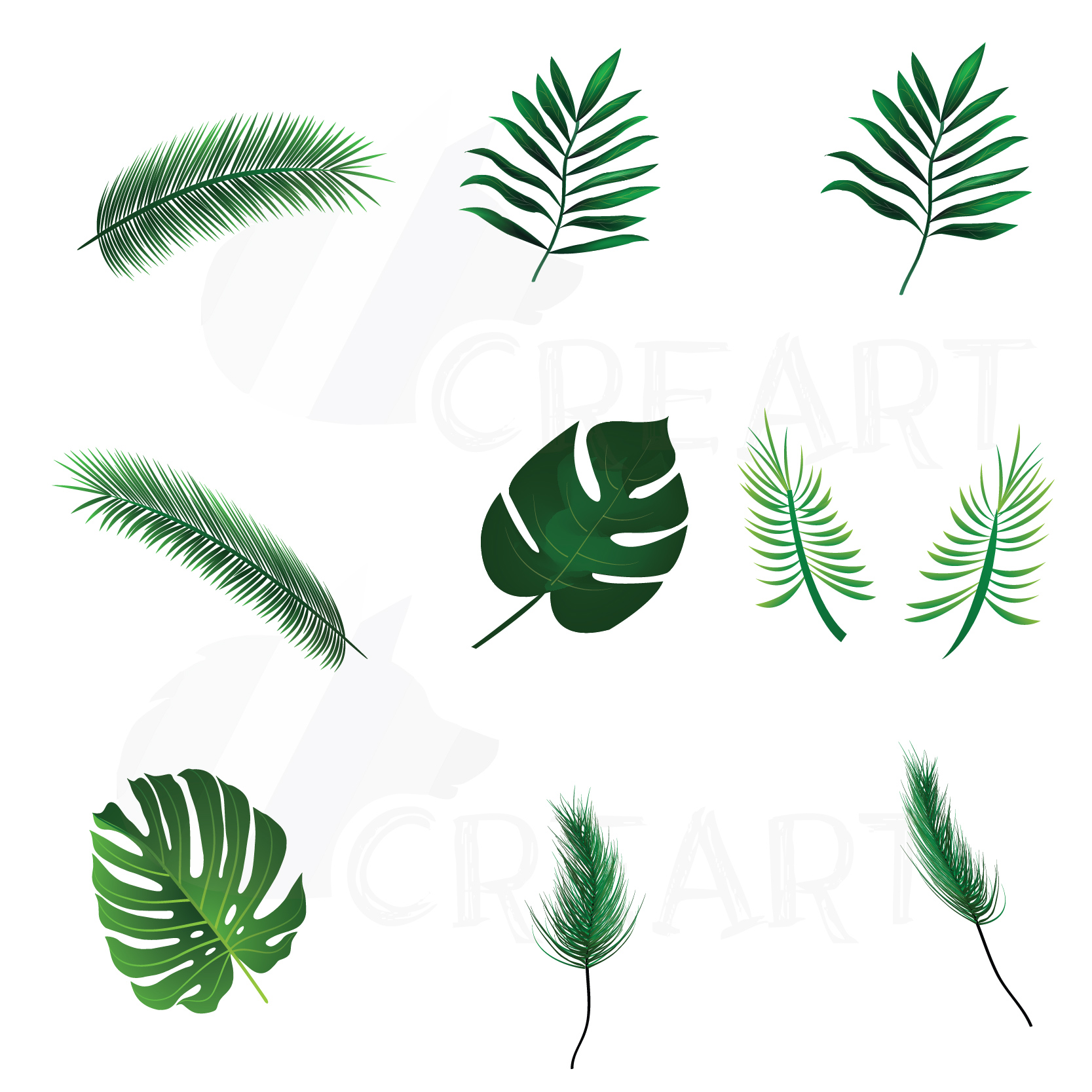 Download Summer leaf clip art pack, palm leaf collection. Eps, png, jpg, pdf, svg, vector illustrator ...