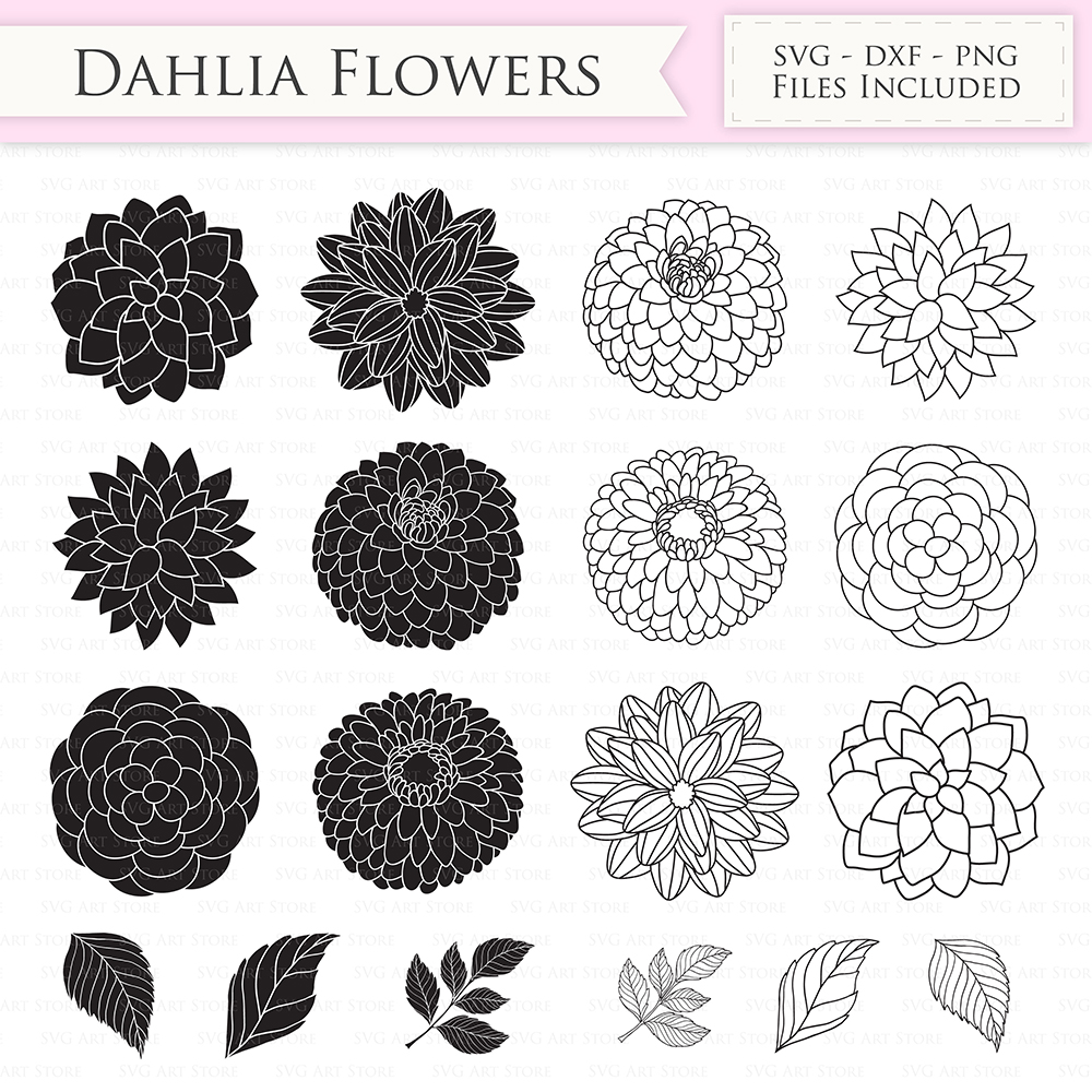 Dahlia Flower SVG: A Comprehensive Guide to Its Beauty and Versatility