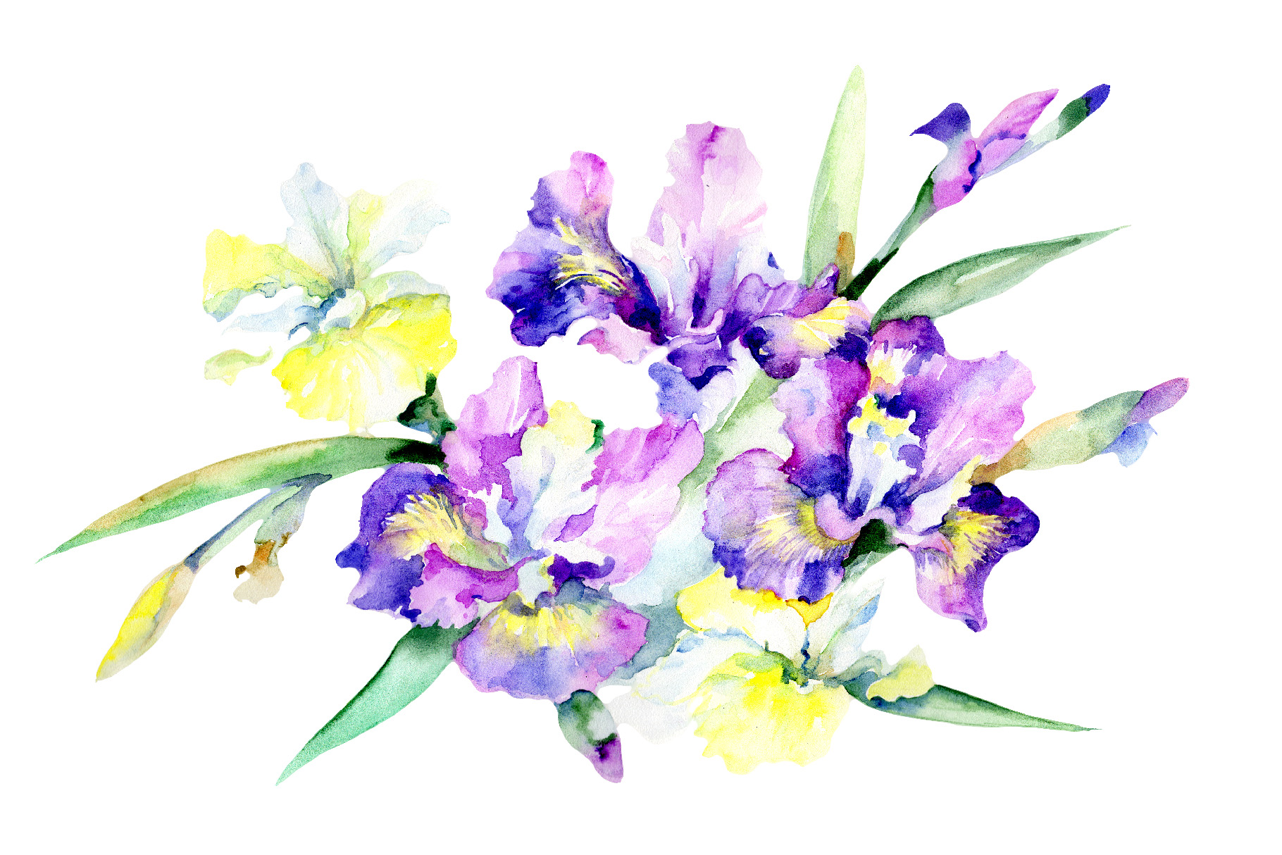 Download Purple bouquet flowers PNG watercolor set (96609 ...