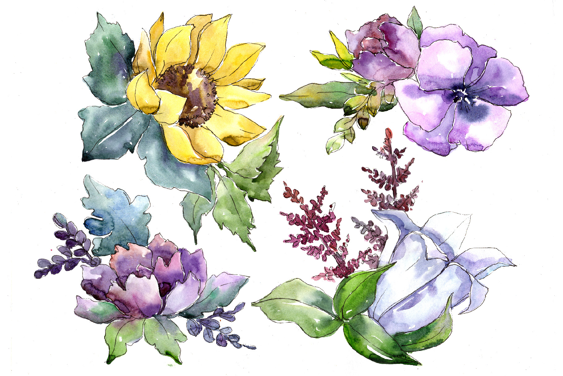 Wildflower bouquets PNG watercolor set (120550) Illustrations