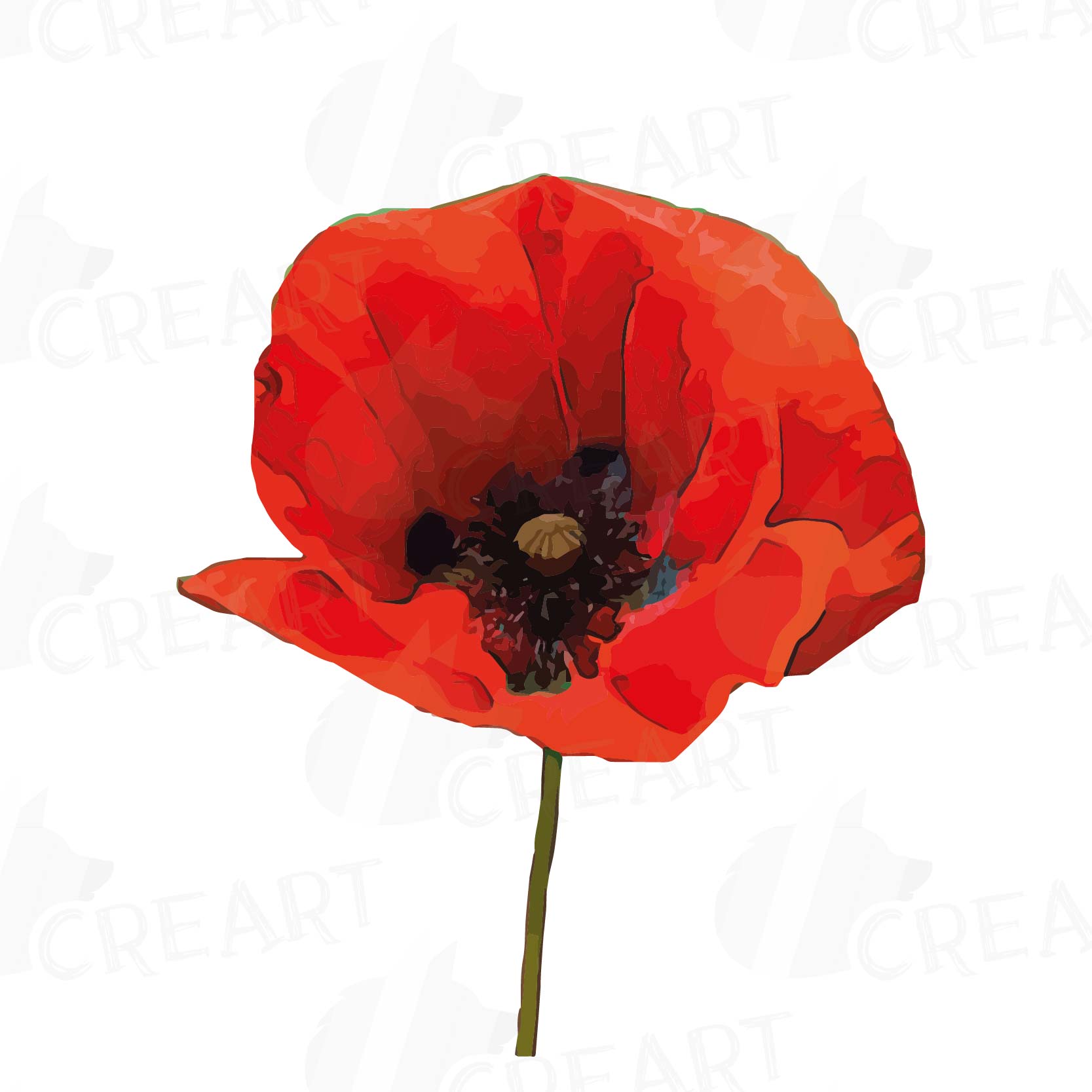 Watercolor Red Poppy flower and leaf clip art pack, Poppies clip art ...