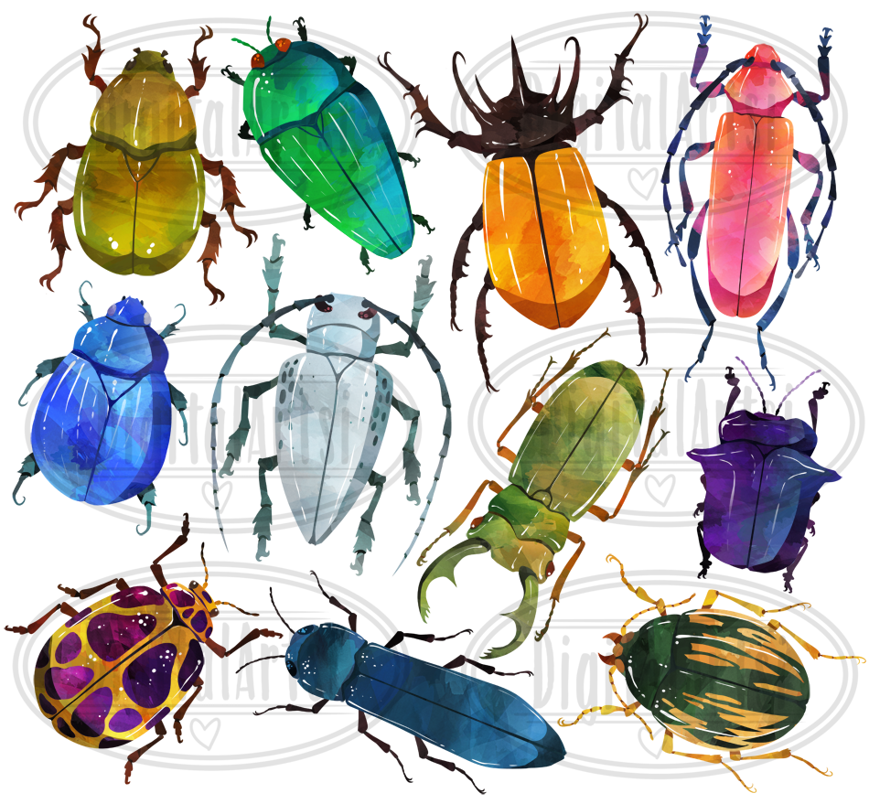 Watercolor Beetle Clipart (143836) | Illustrations | Design Bundles